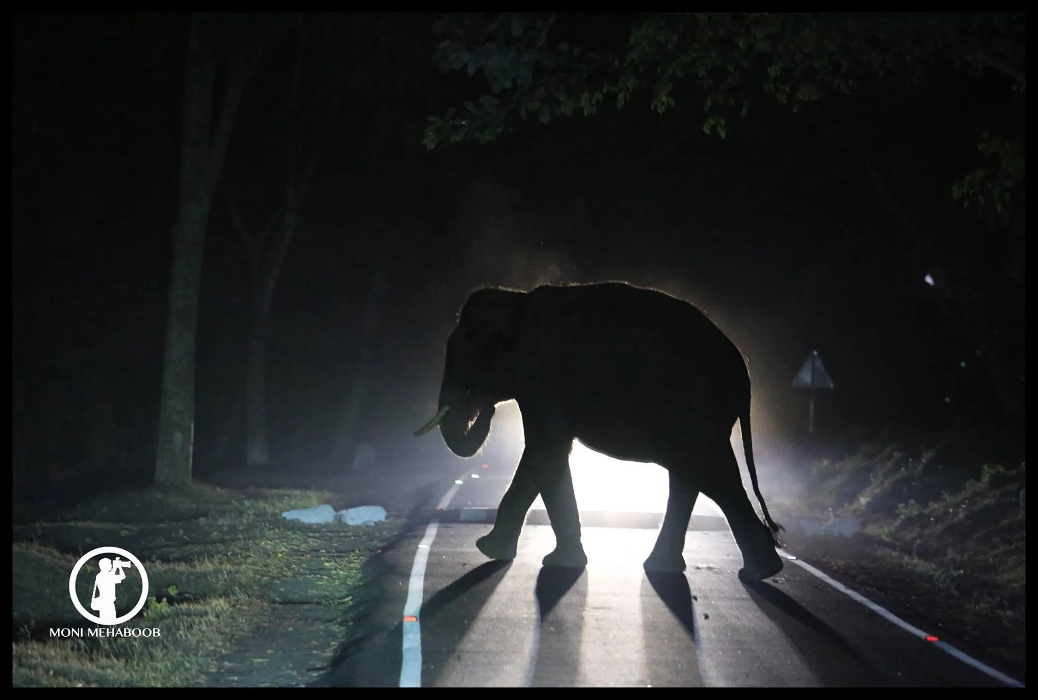 The crossing