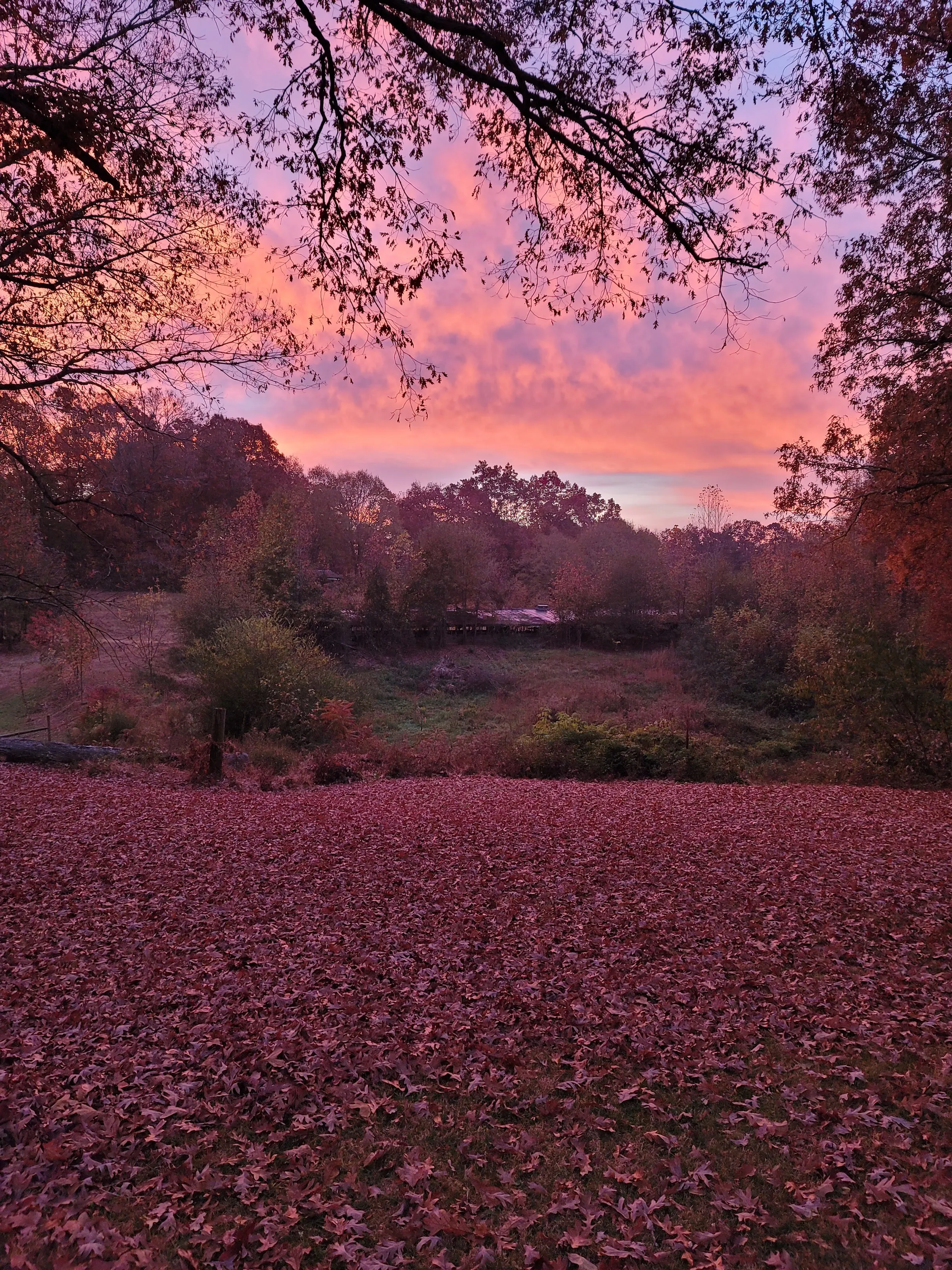 Morning Sunrise
