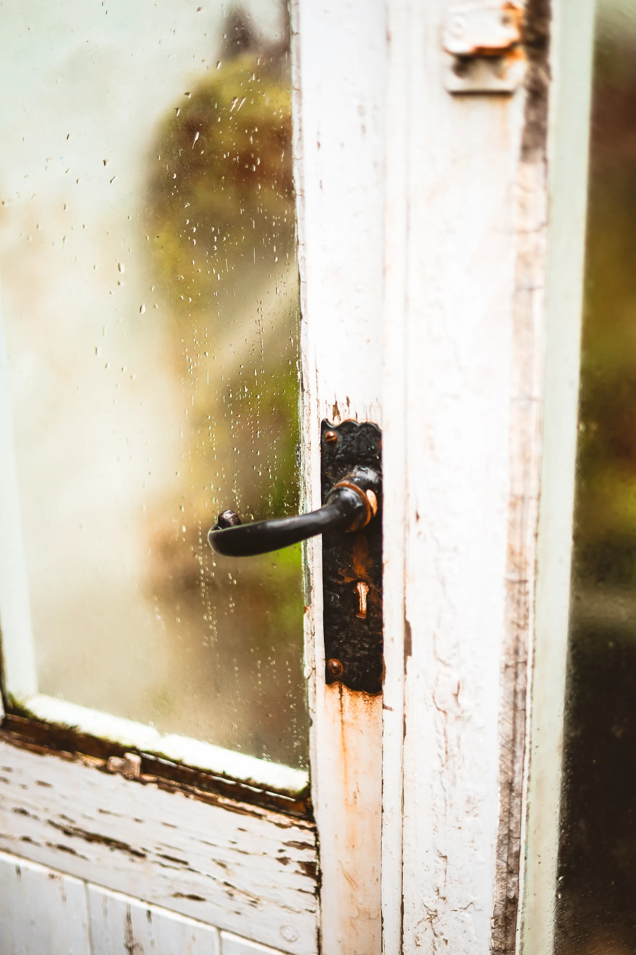 rain dripping down an old greenhouse door