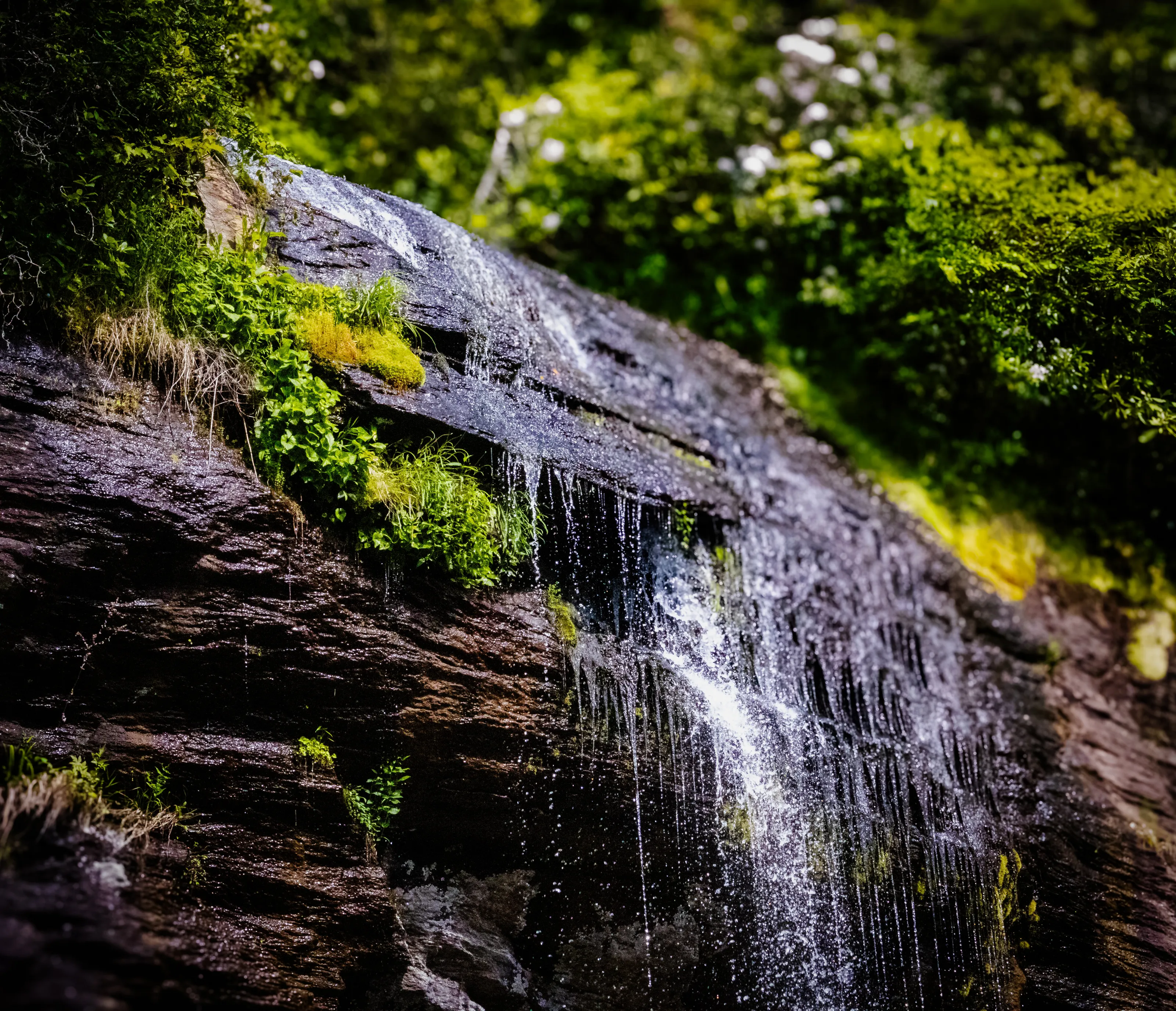 A Small Waterfall in the Smoky Mountains