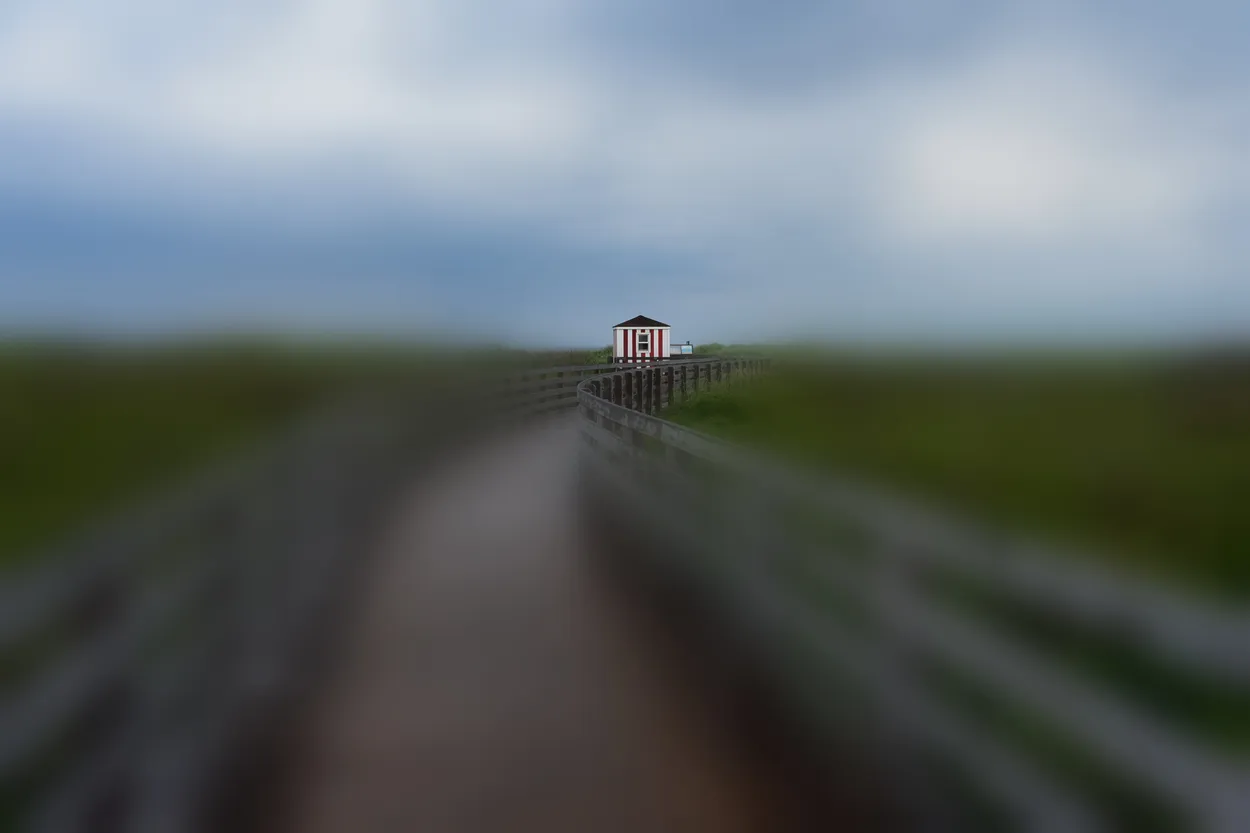 Entry 18813587