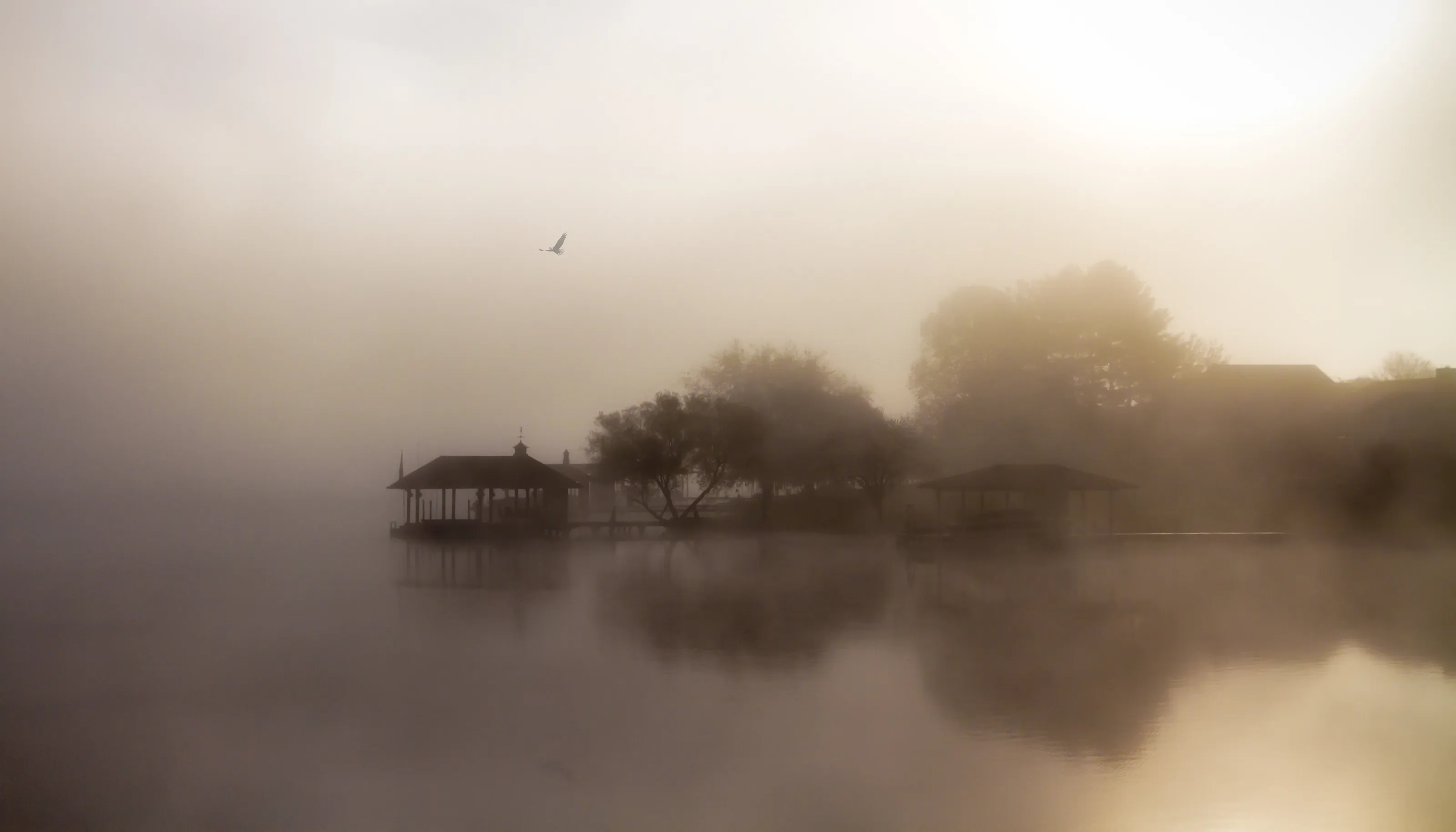 Morning Fog