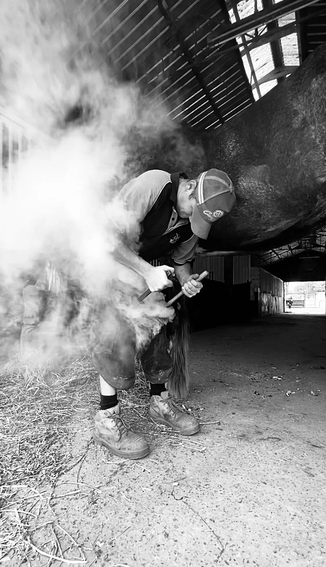 The Farrier