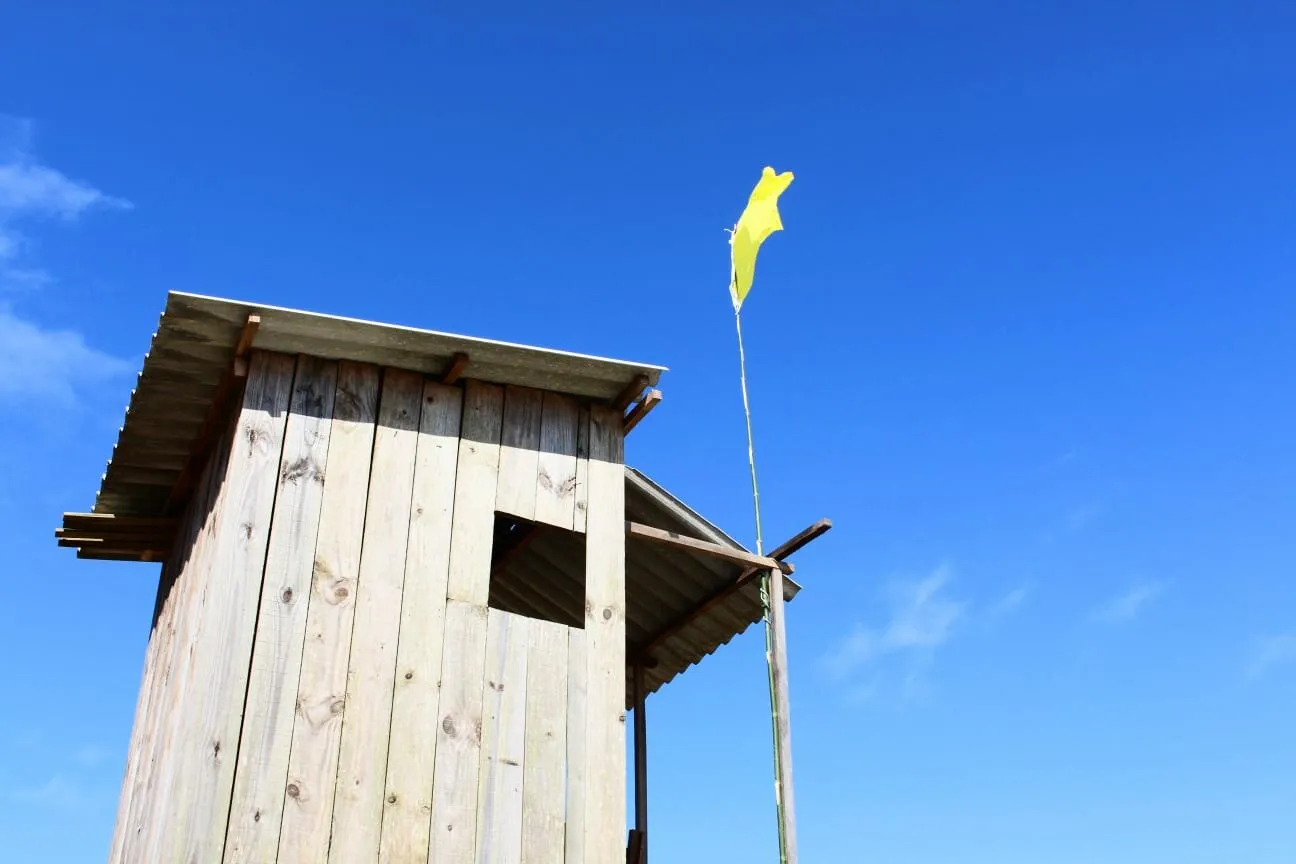 Banner image