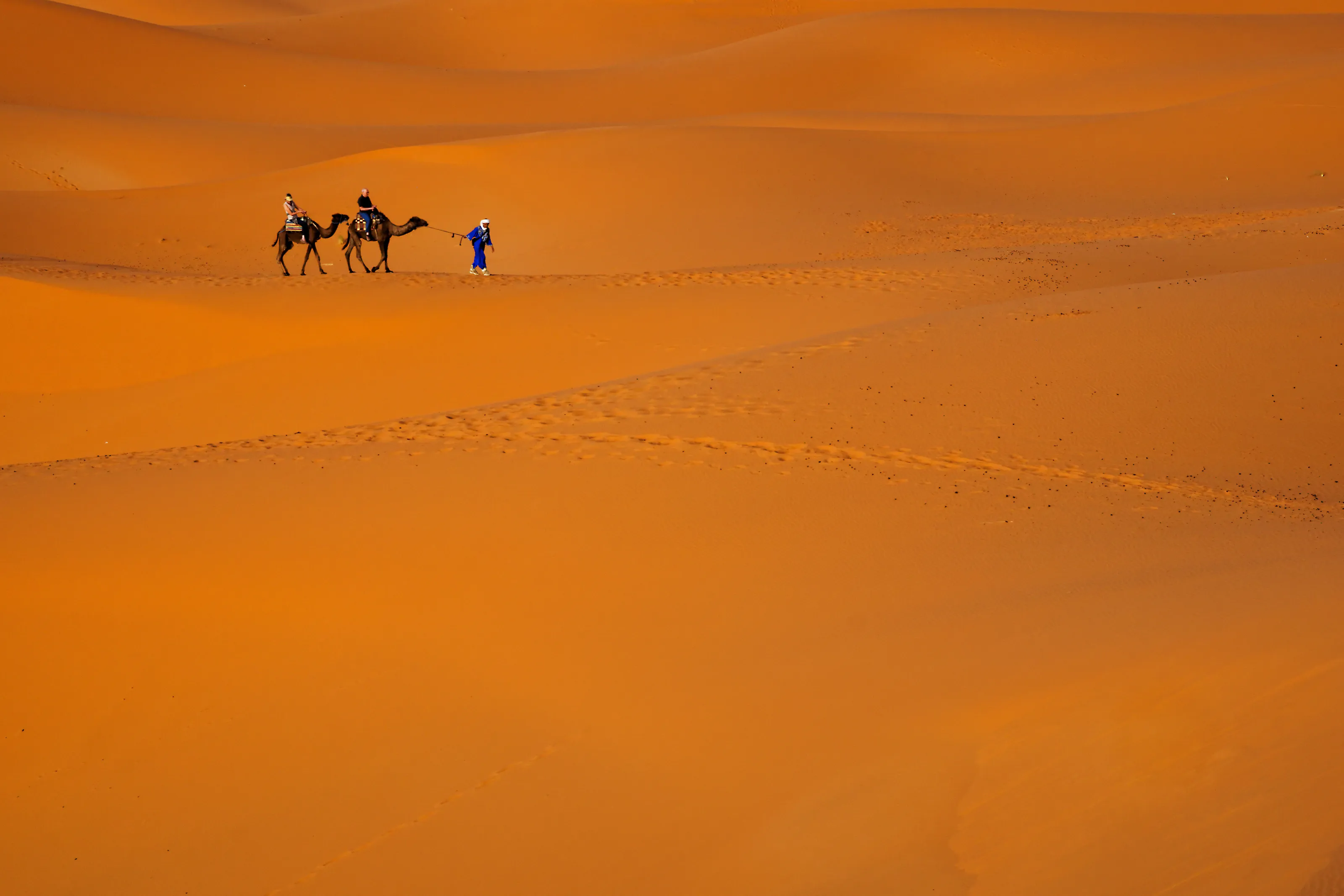 Touareg Caravan
