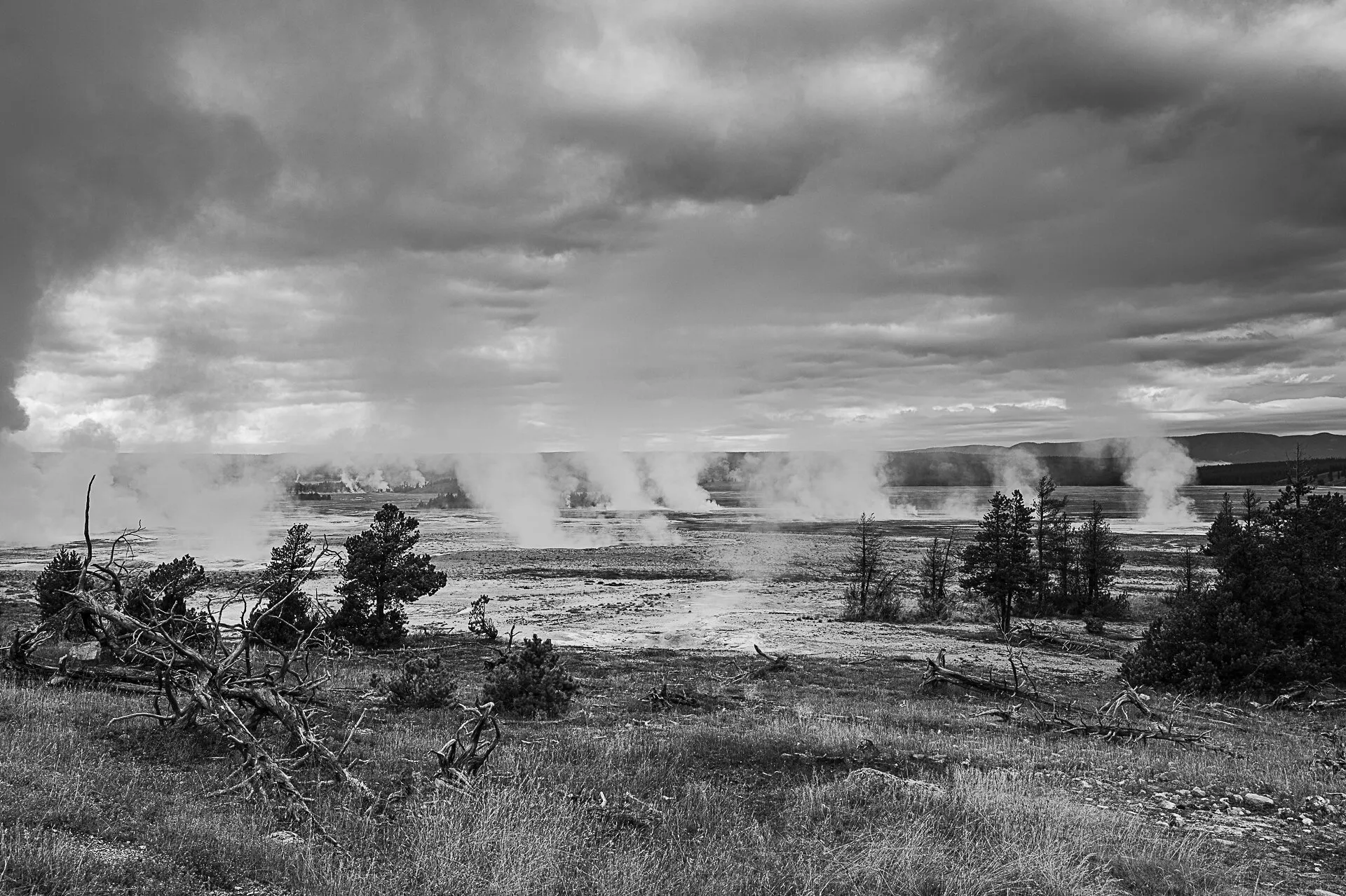 Yellowstone