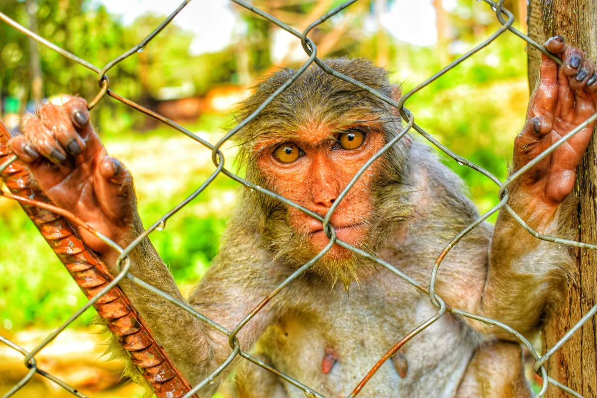 Let me out !