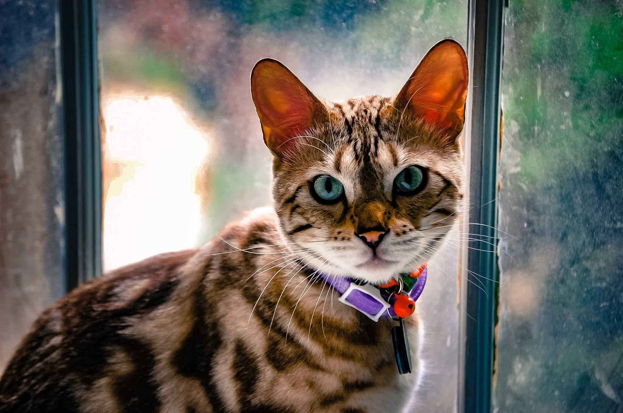 A Whisker in Time