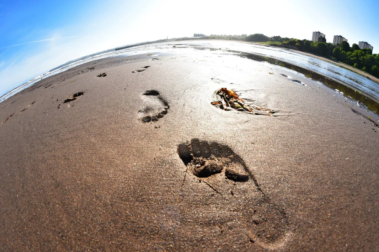 Entry 983650