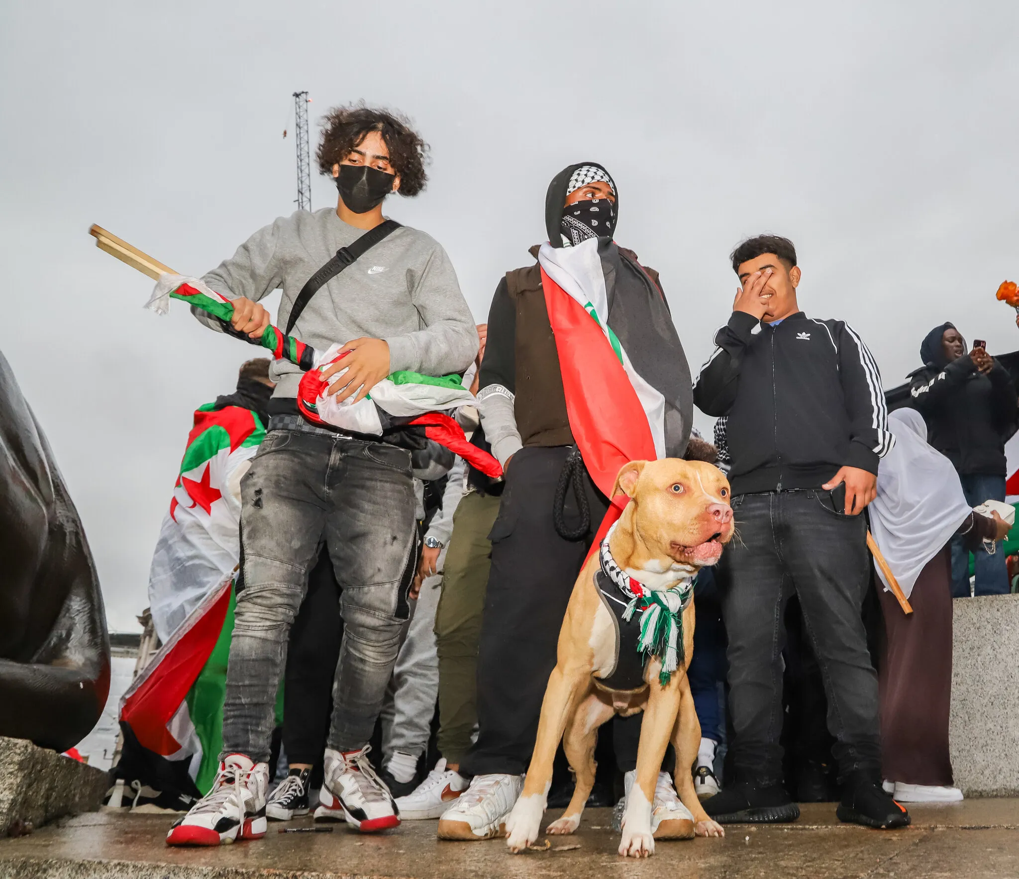 Palestinian Activists In London