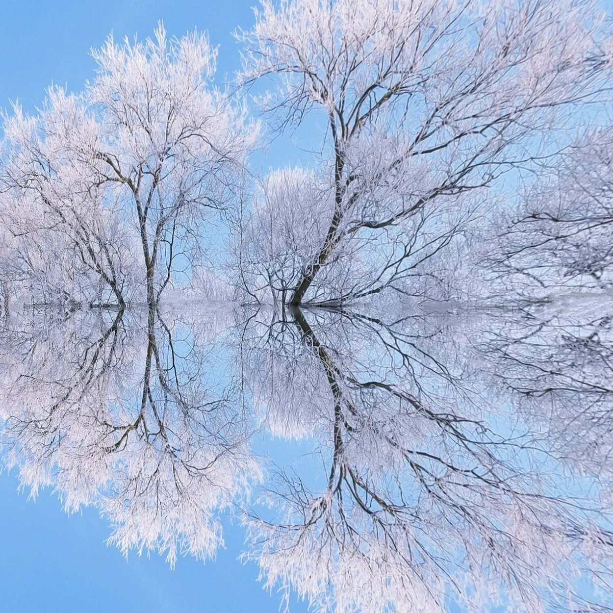 Entry 18894547