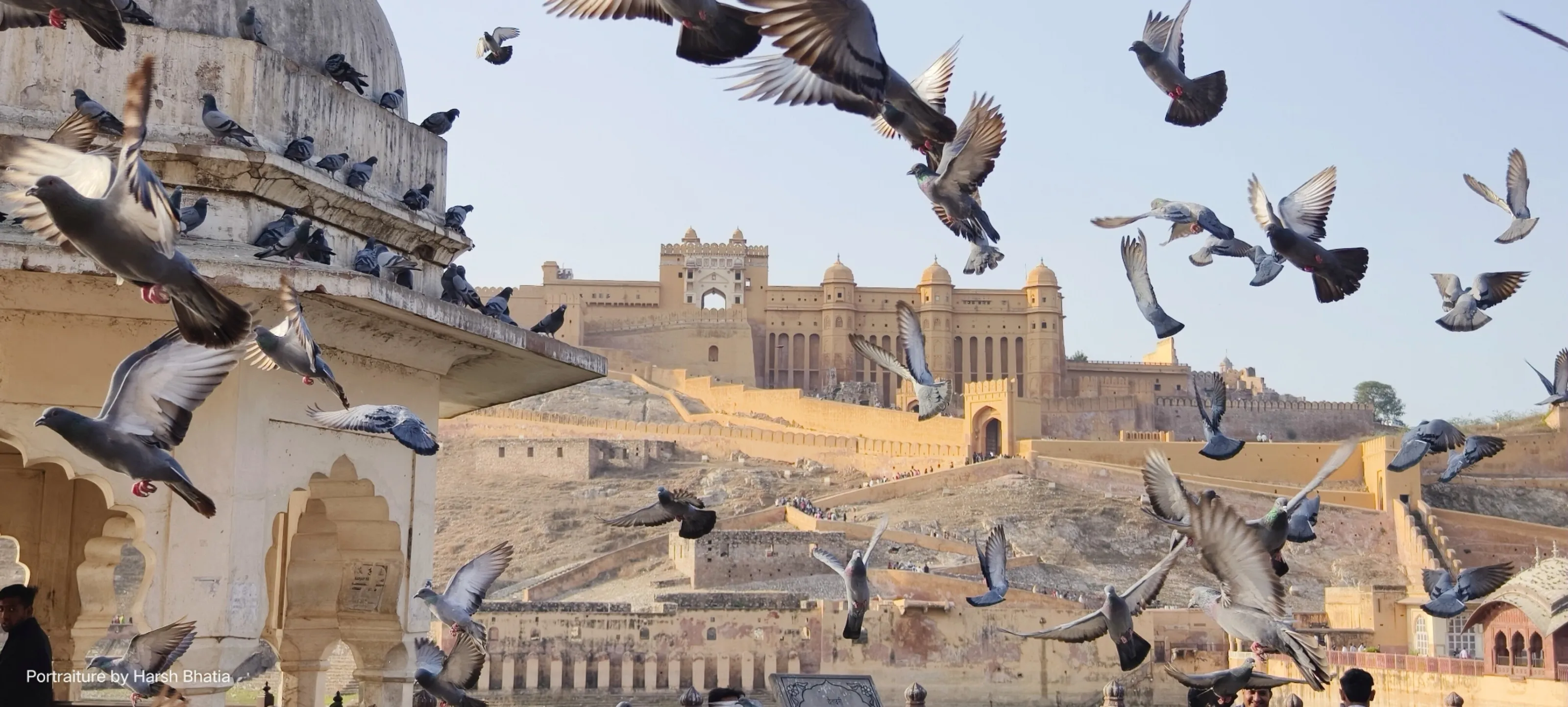 Birds in flight in front of fort Amer, Jaipur