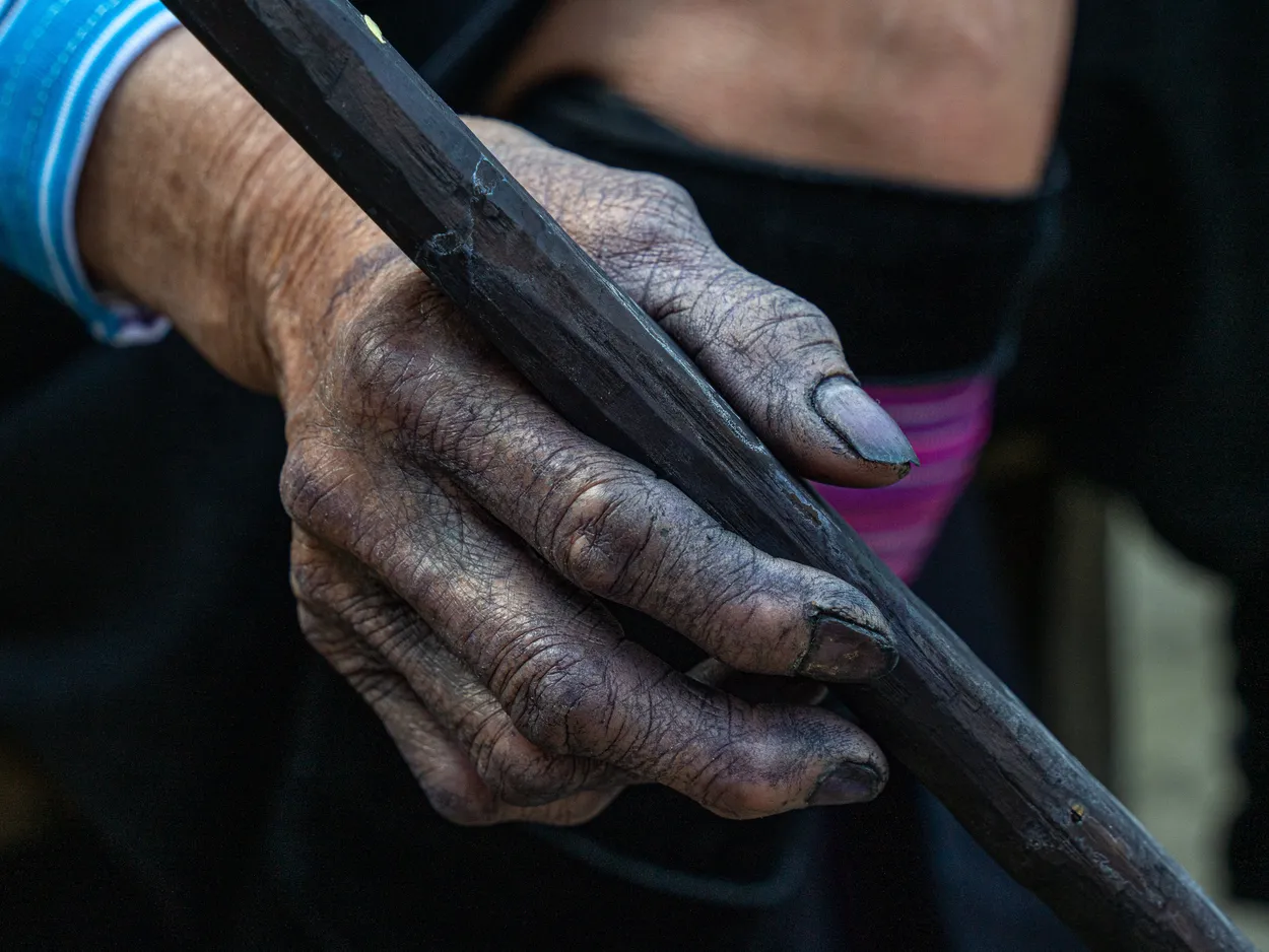 Entry 21253980