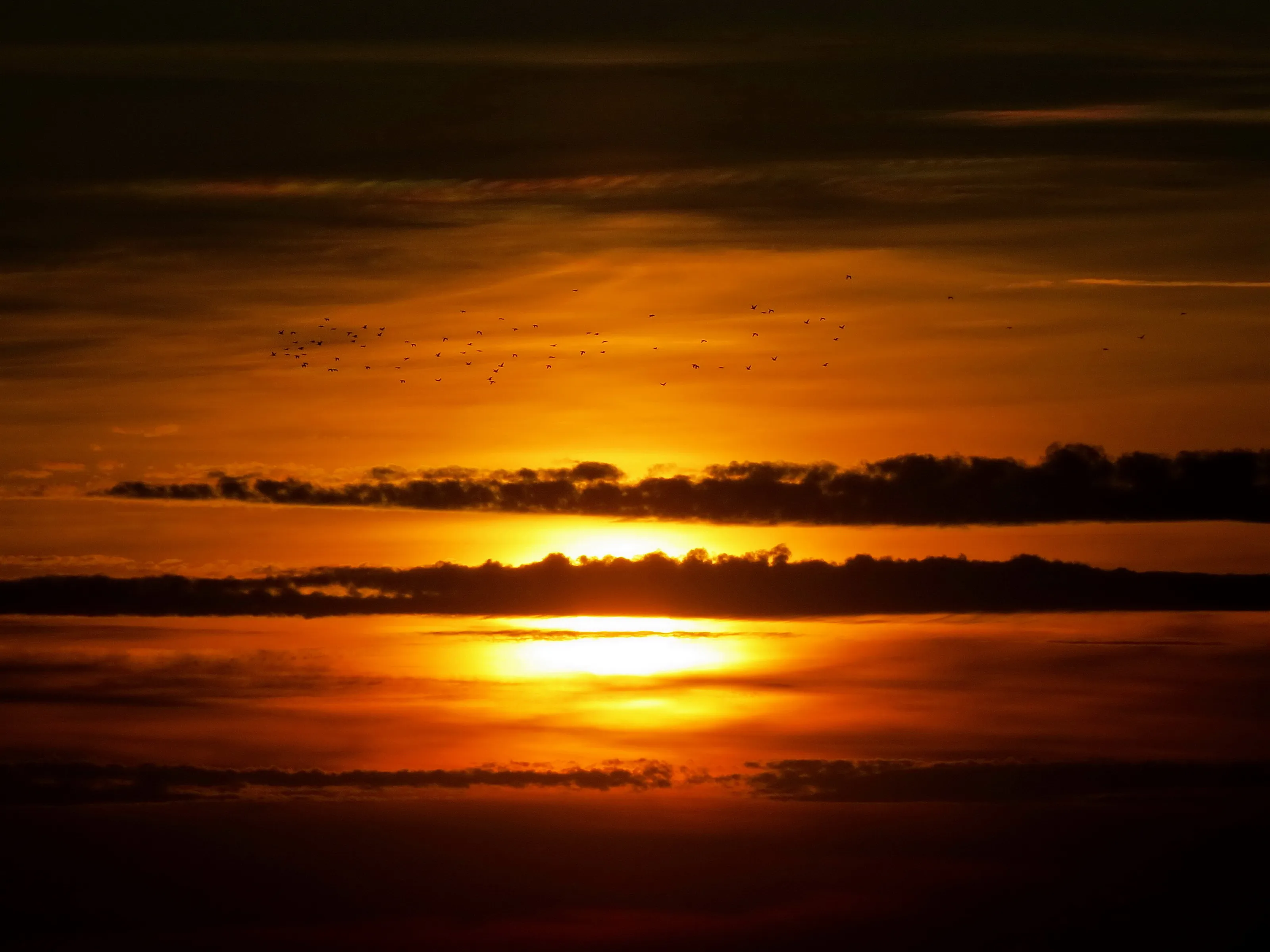 Sunset, clouds and birds