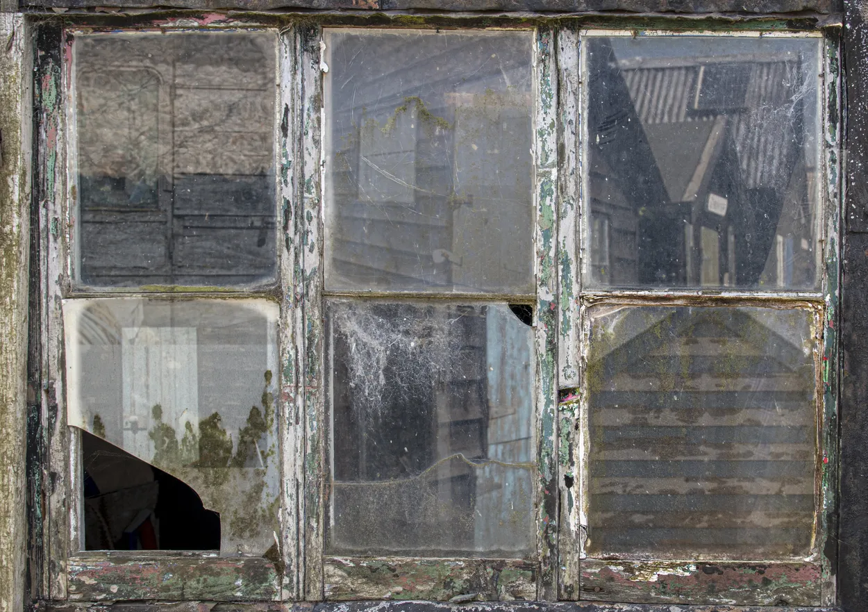 Entry 22903535