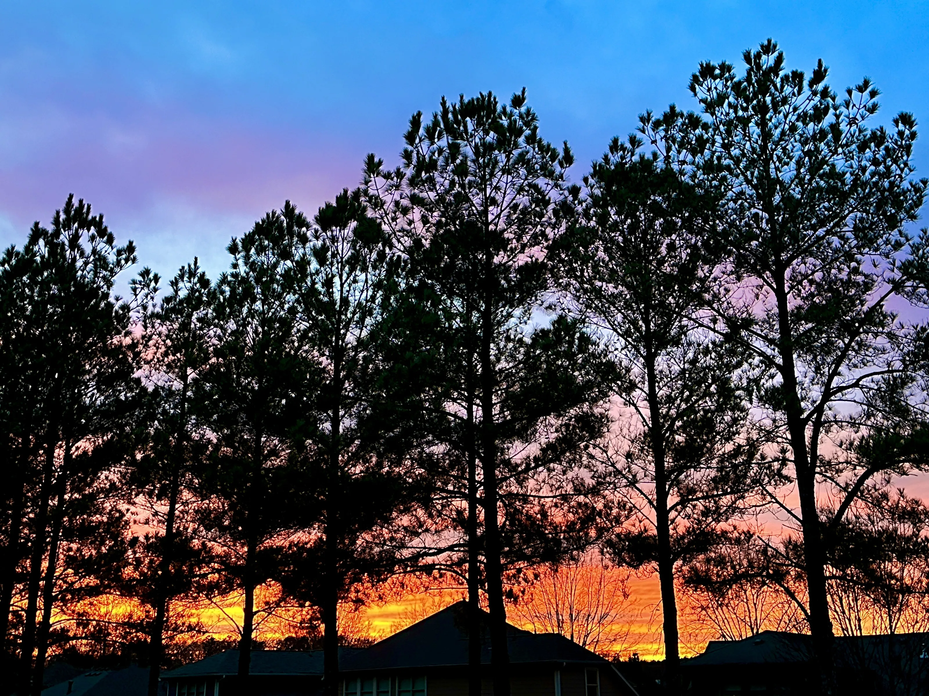 Winter Sunset