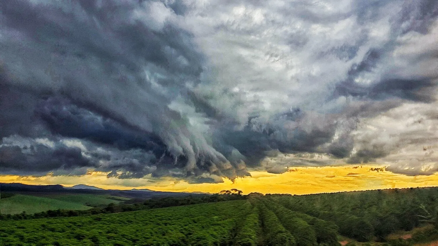 Entre o céu e a terra