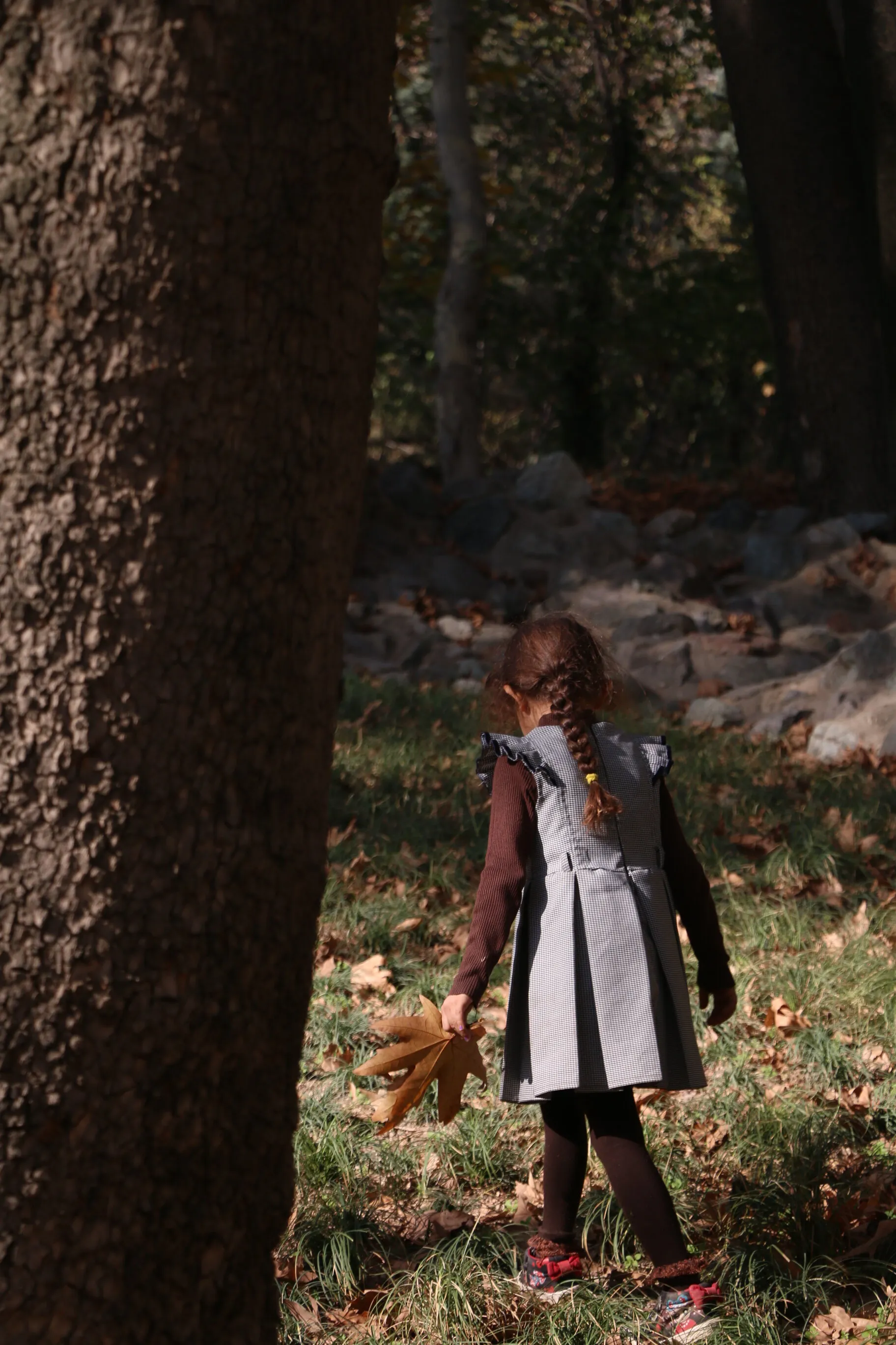 Fall