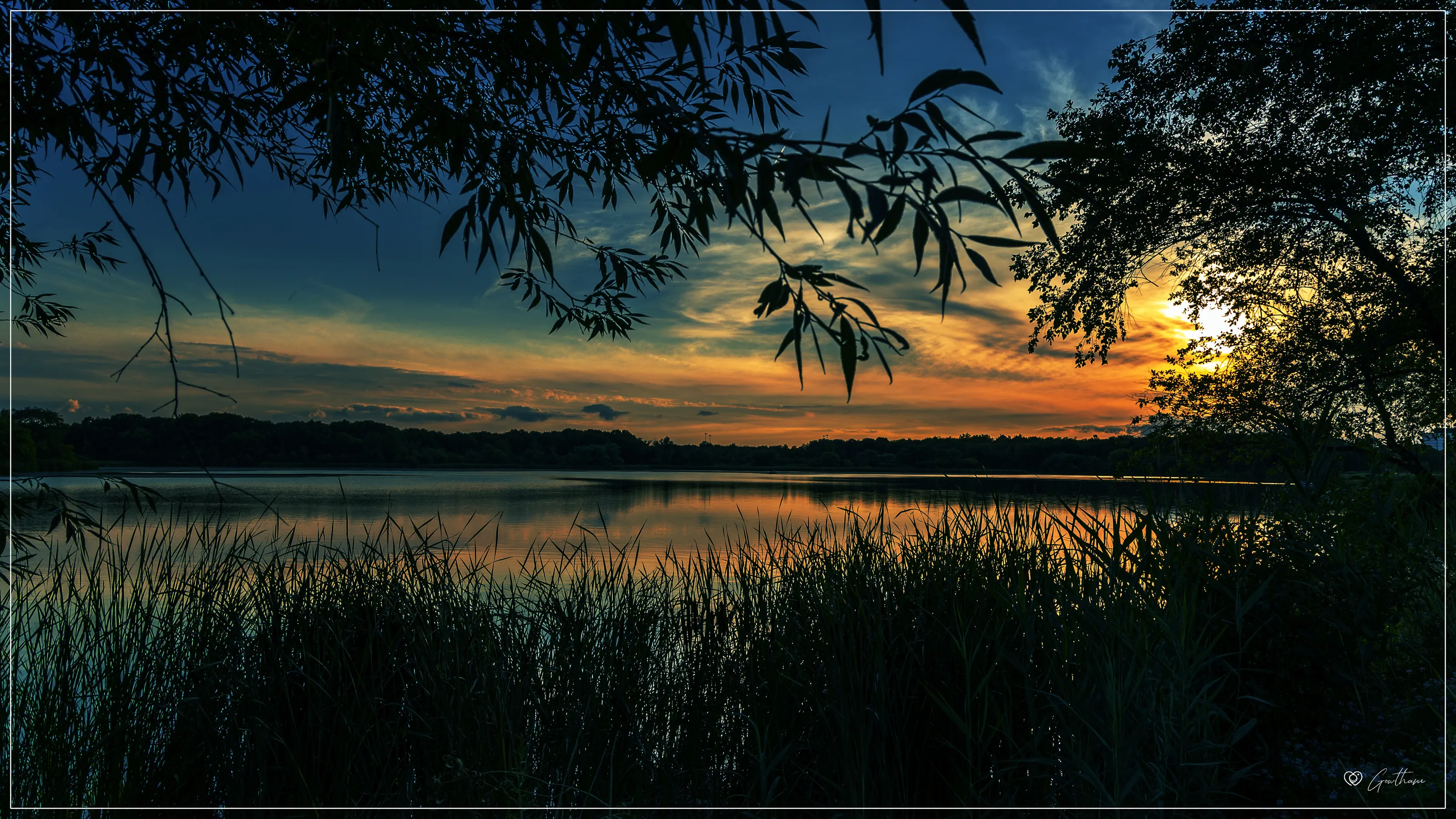 Twilight Serenade