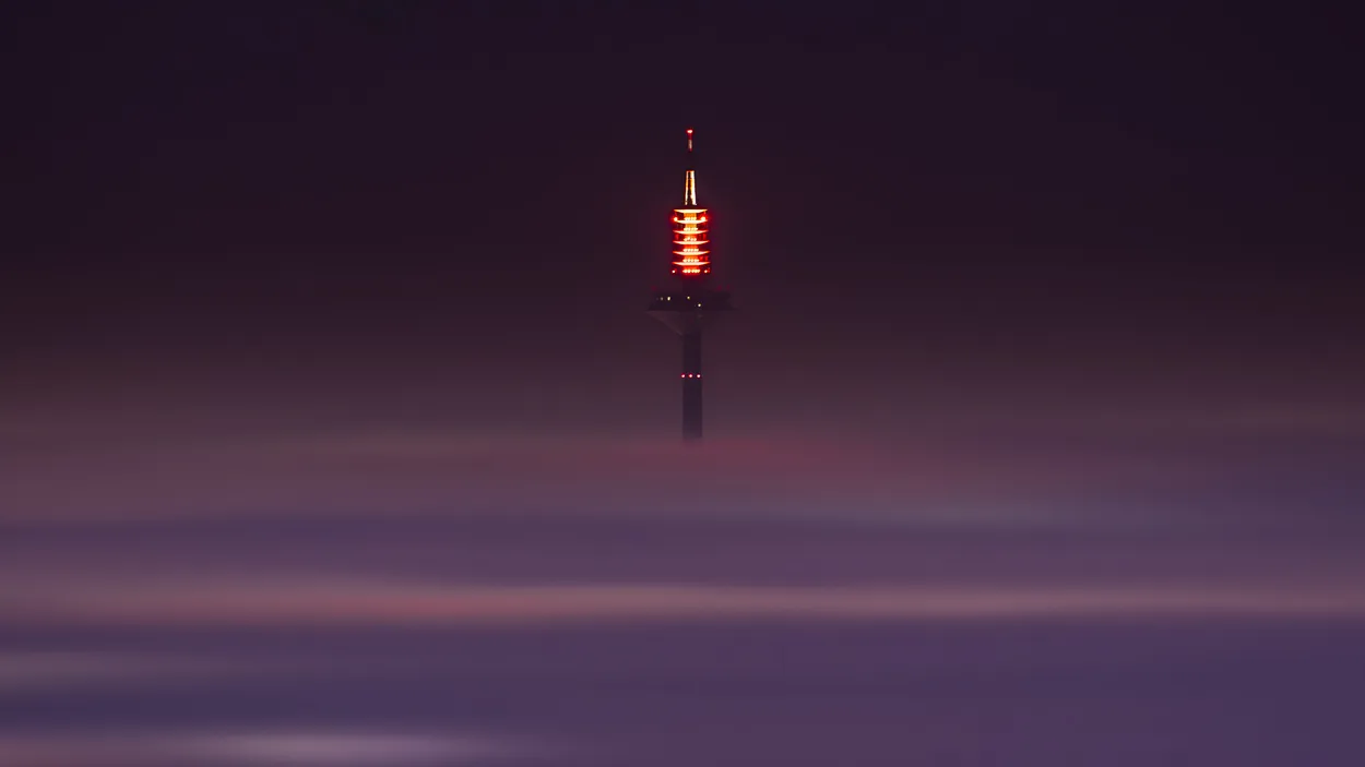 Entry 20554732
