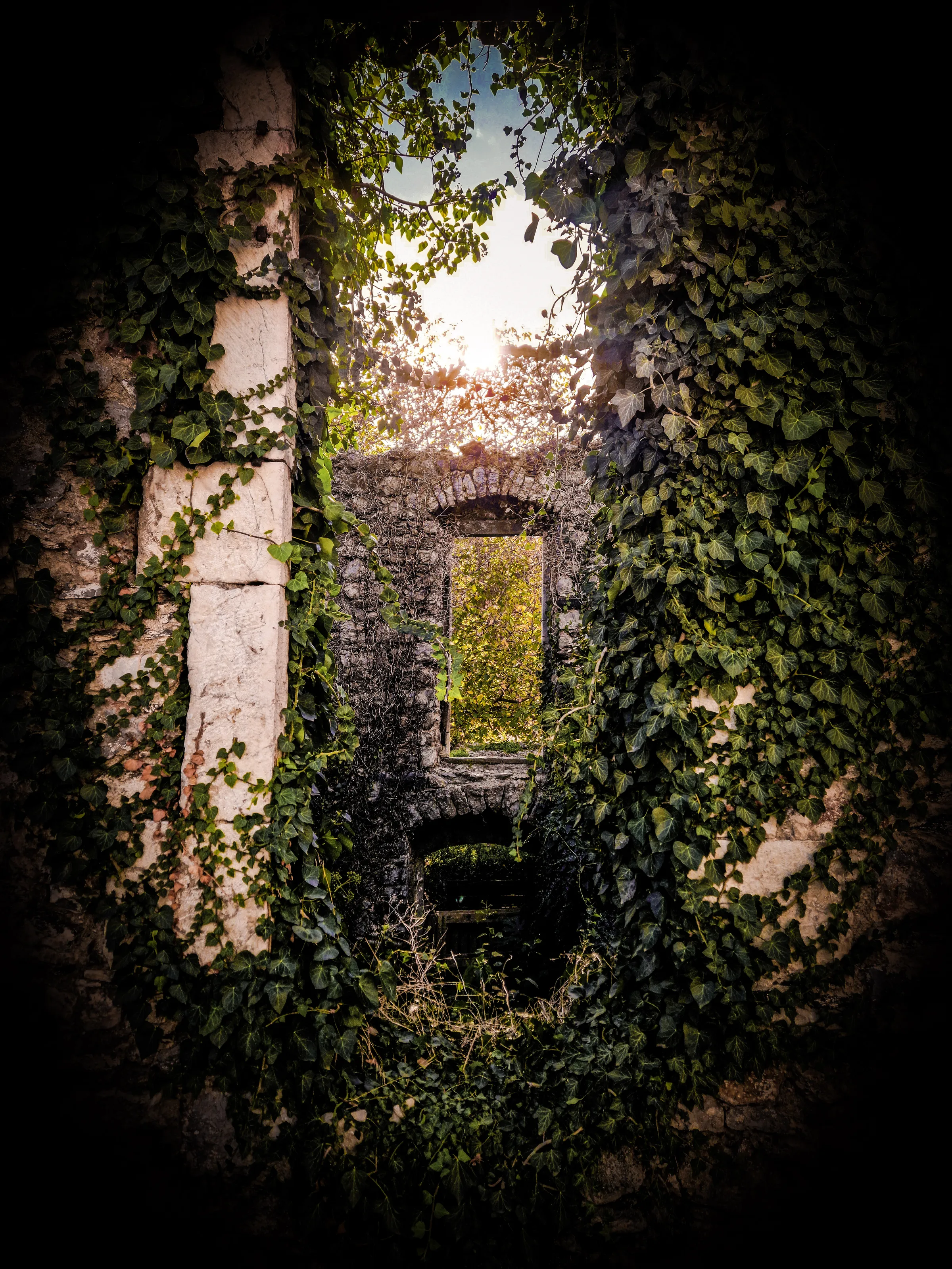 Green window-garden