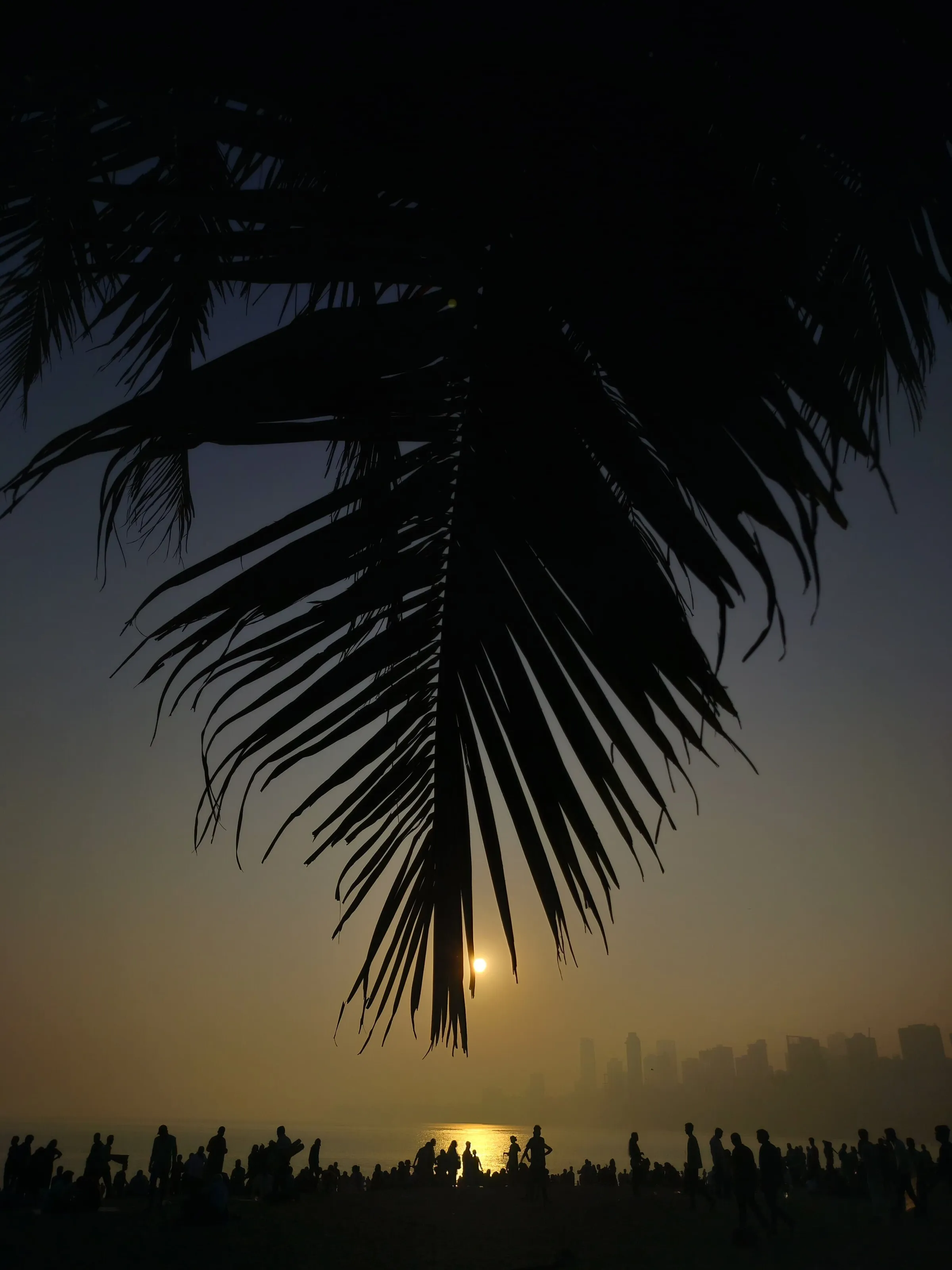 Mumbai and its coastal side