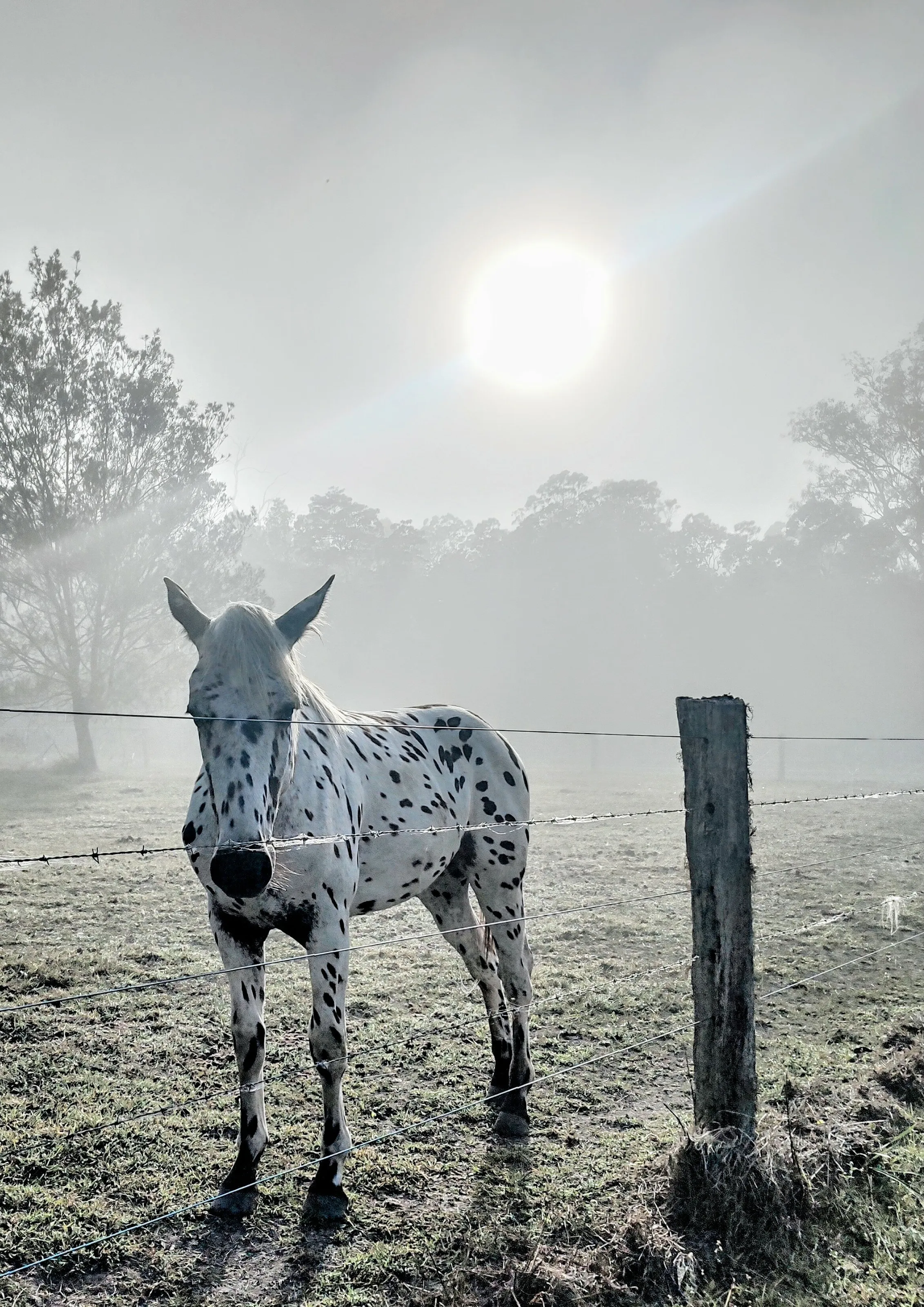 A new day begins