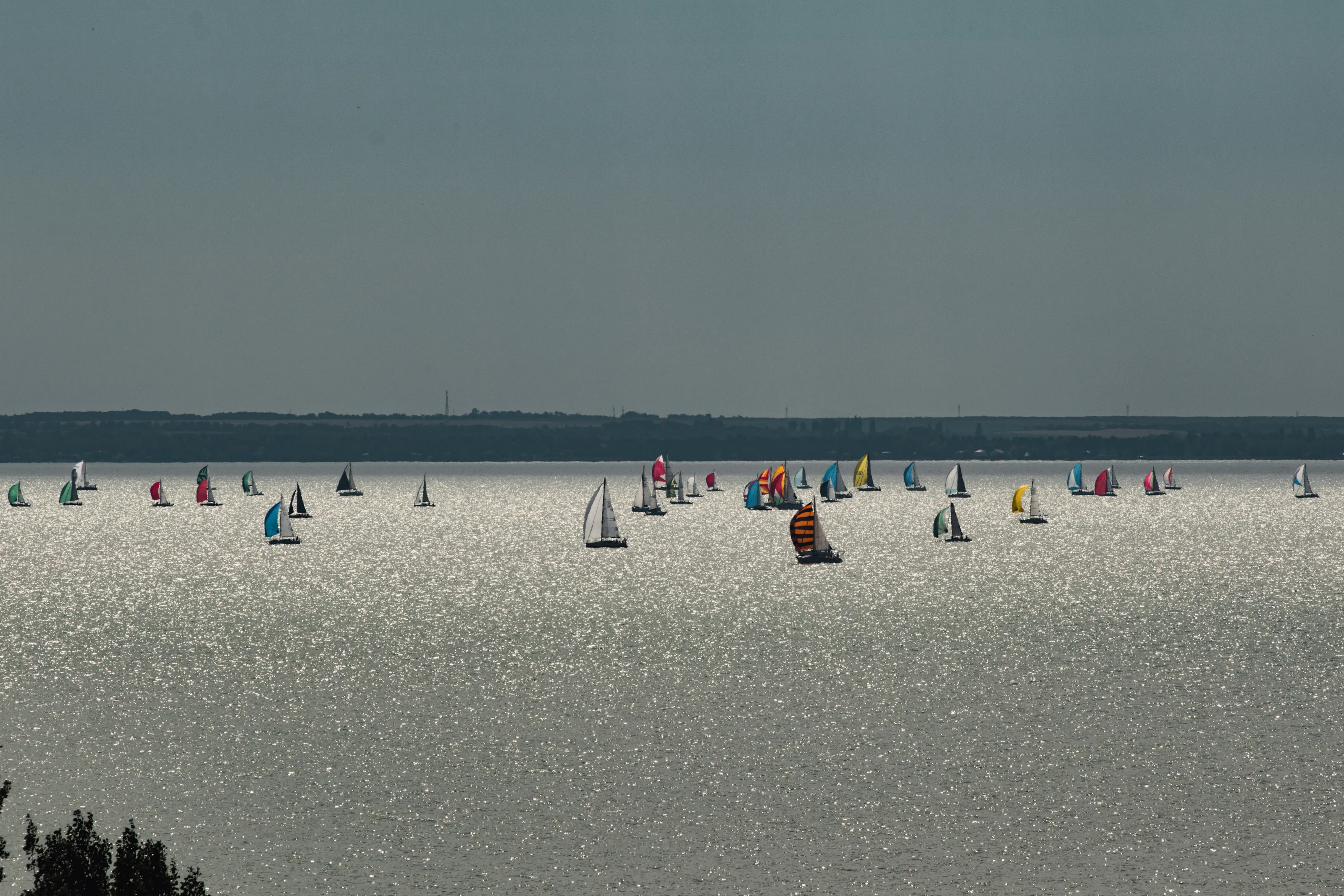 Balaton - Blue Ribbon