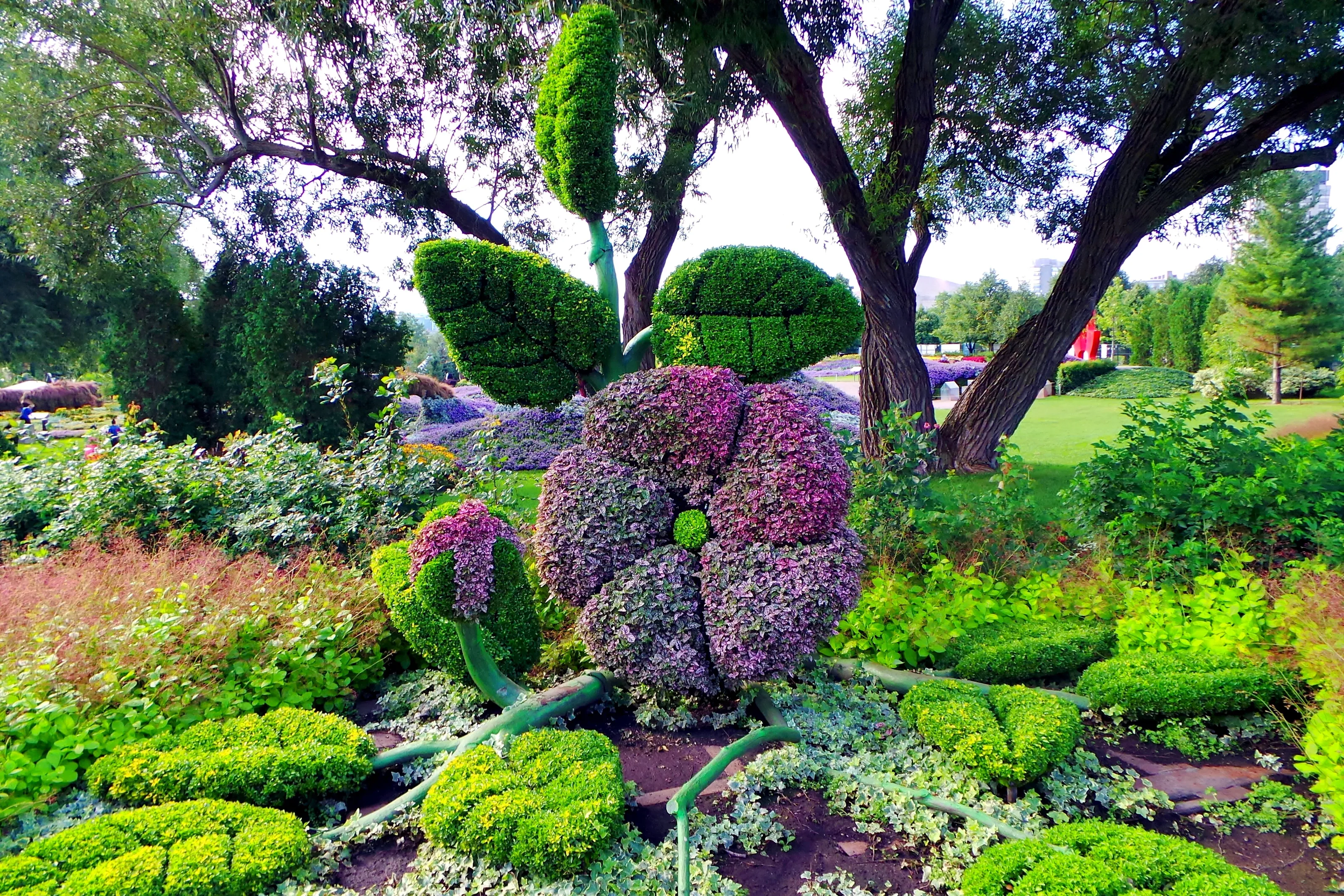 Mosaiculture Gatineau, Quebec - An Oversized Flower and Leaves