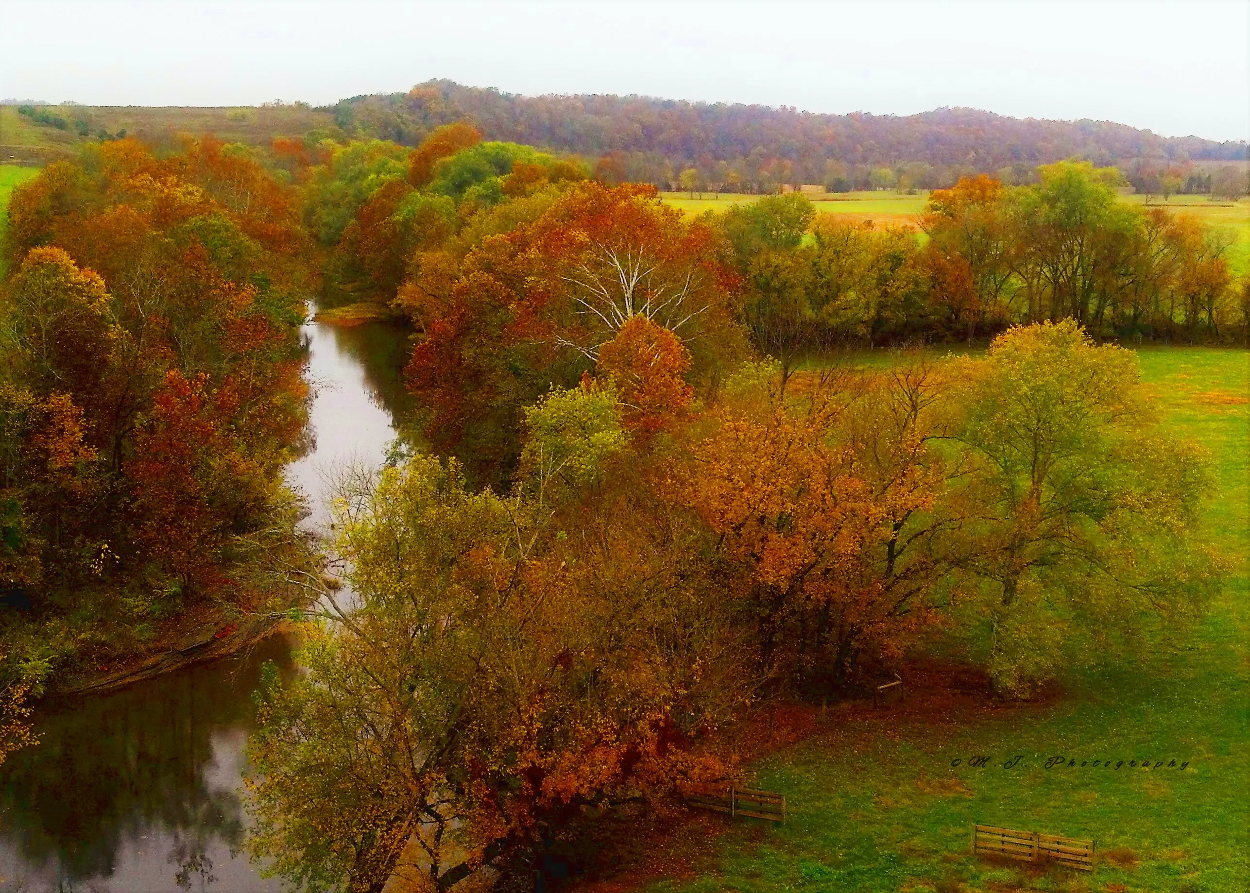 Foot Hills Autumn