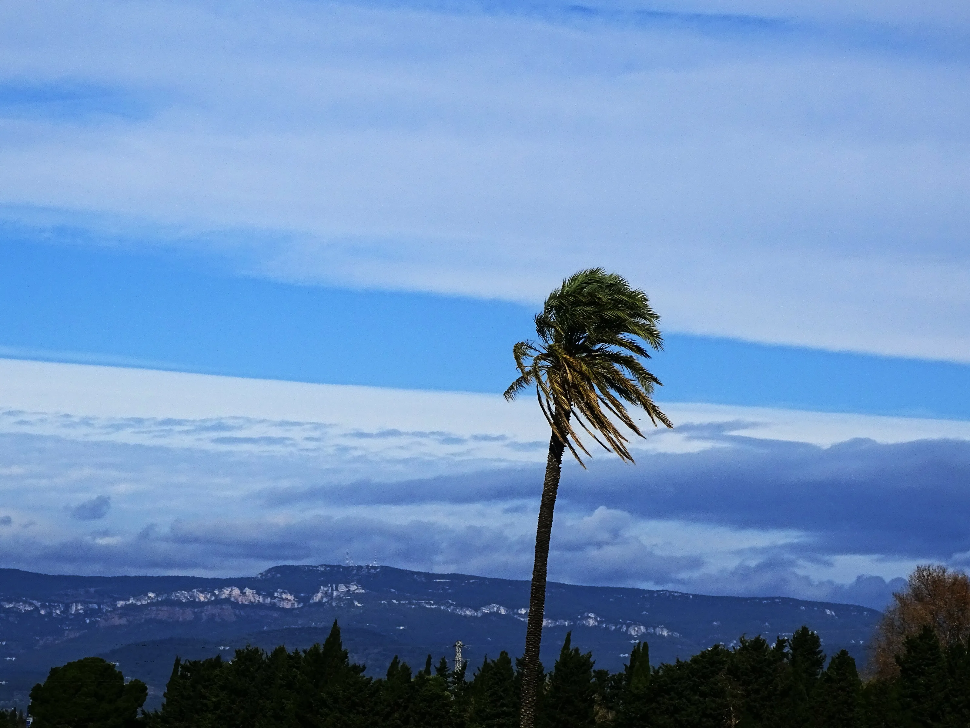 Alone against the wind