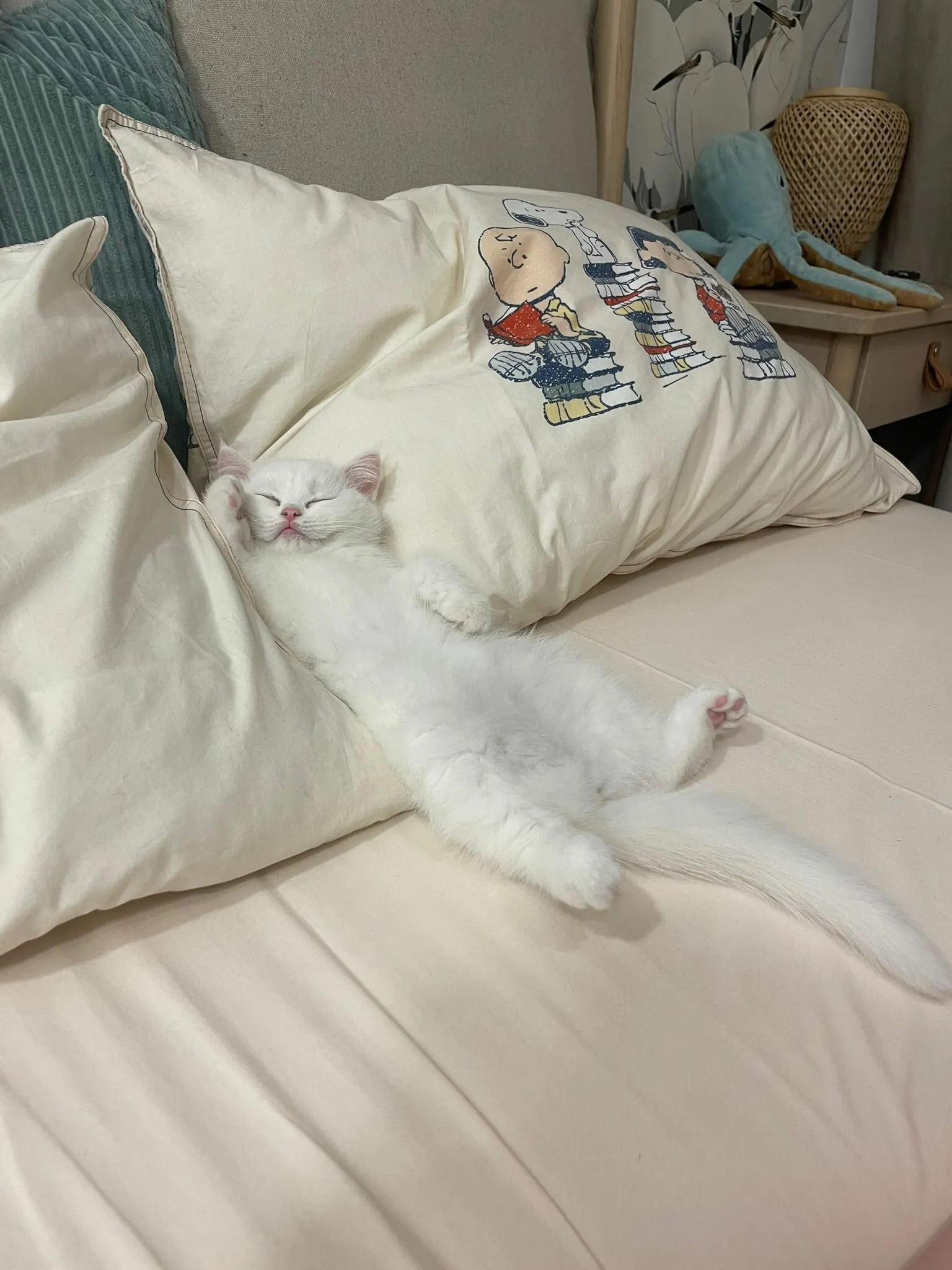 Yuki