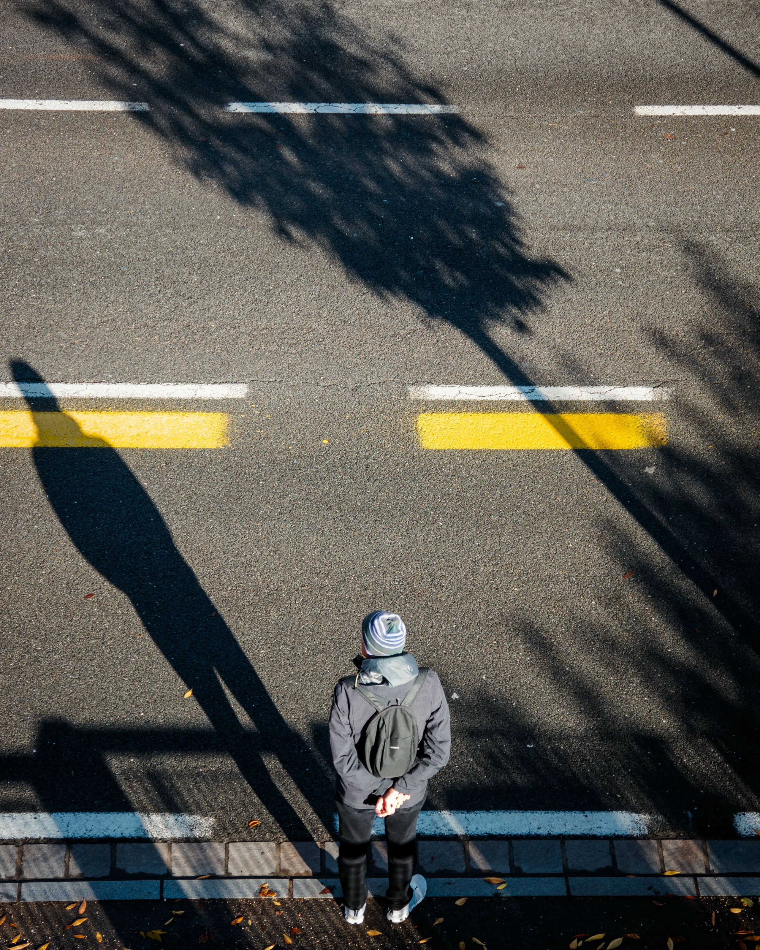 The shadow of the nature