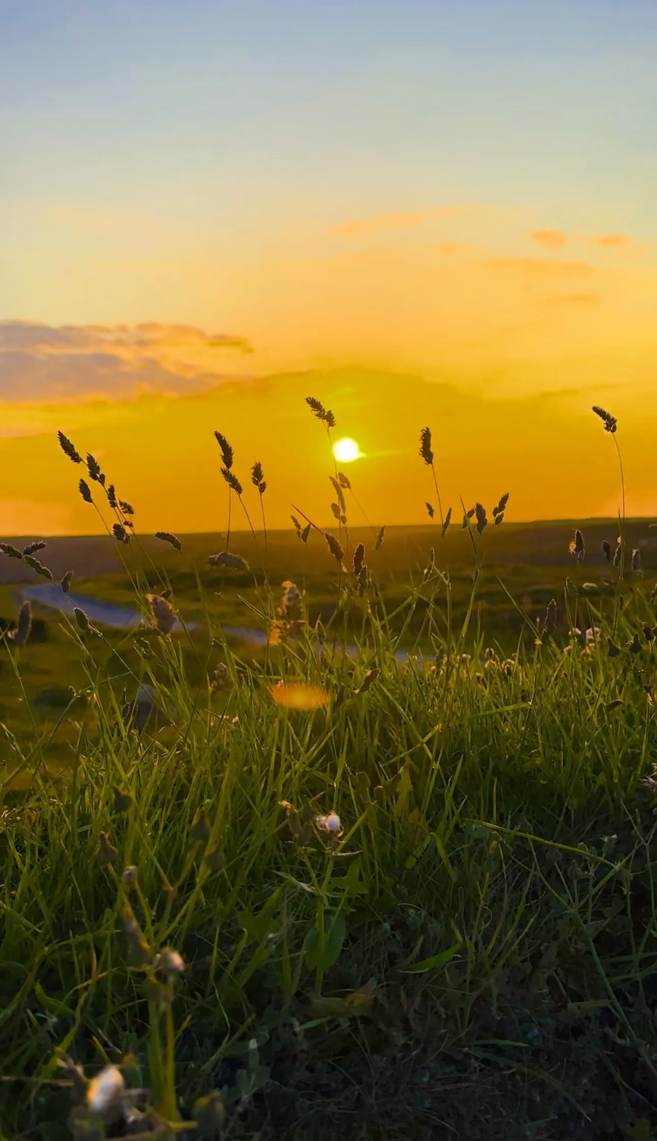 Golden Skies