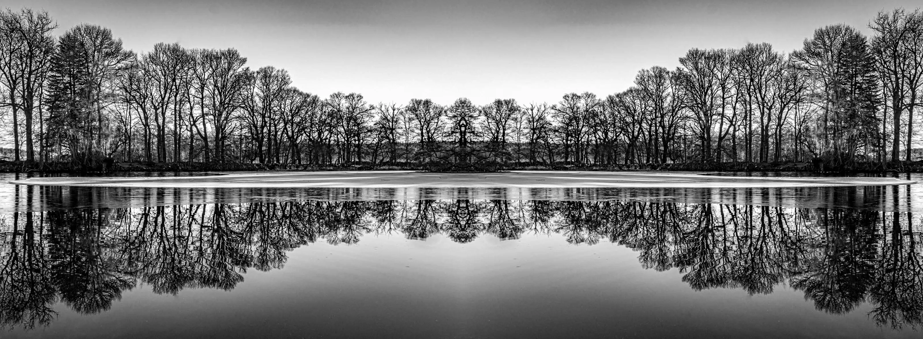 Pond reflections........