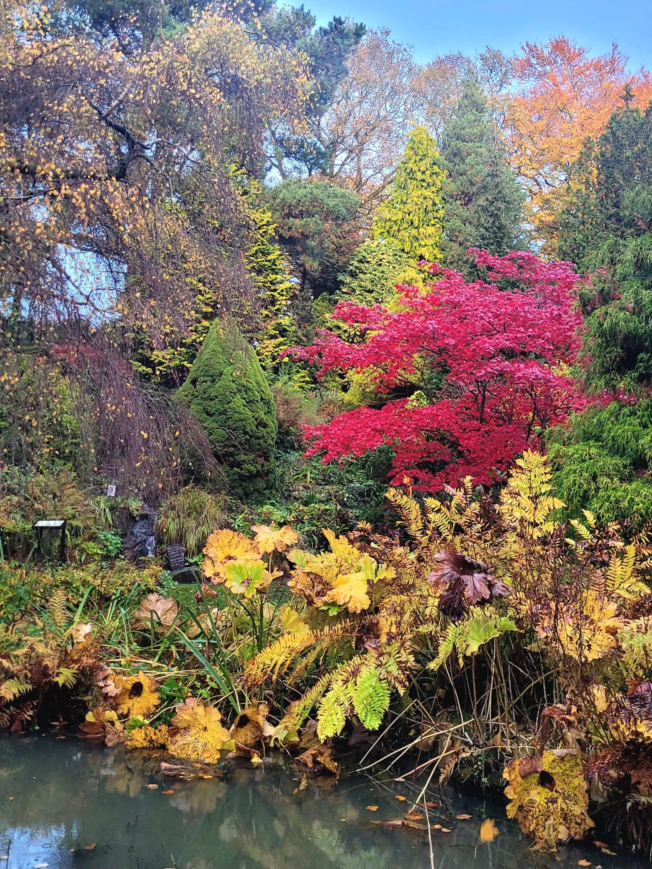The Playground of Mother Nature in Fletchermoss Botanical Garden
