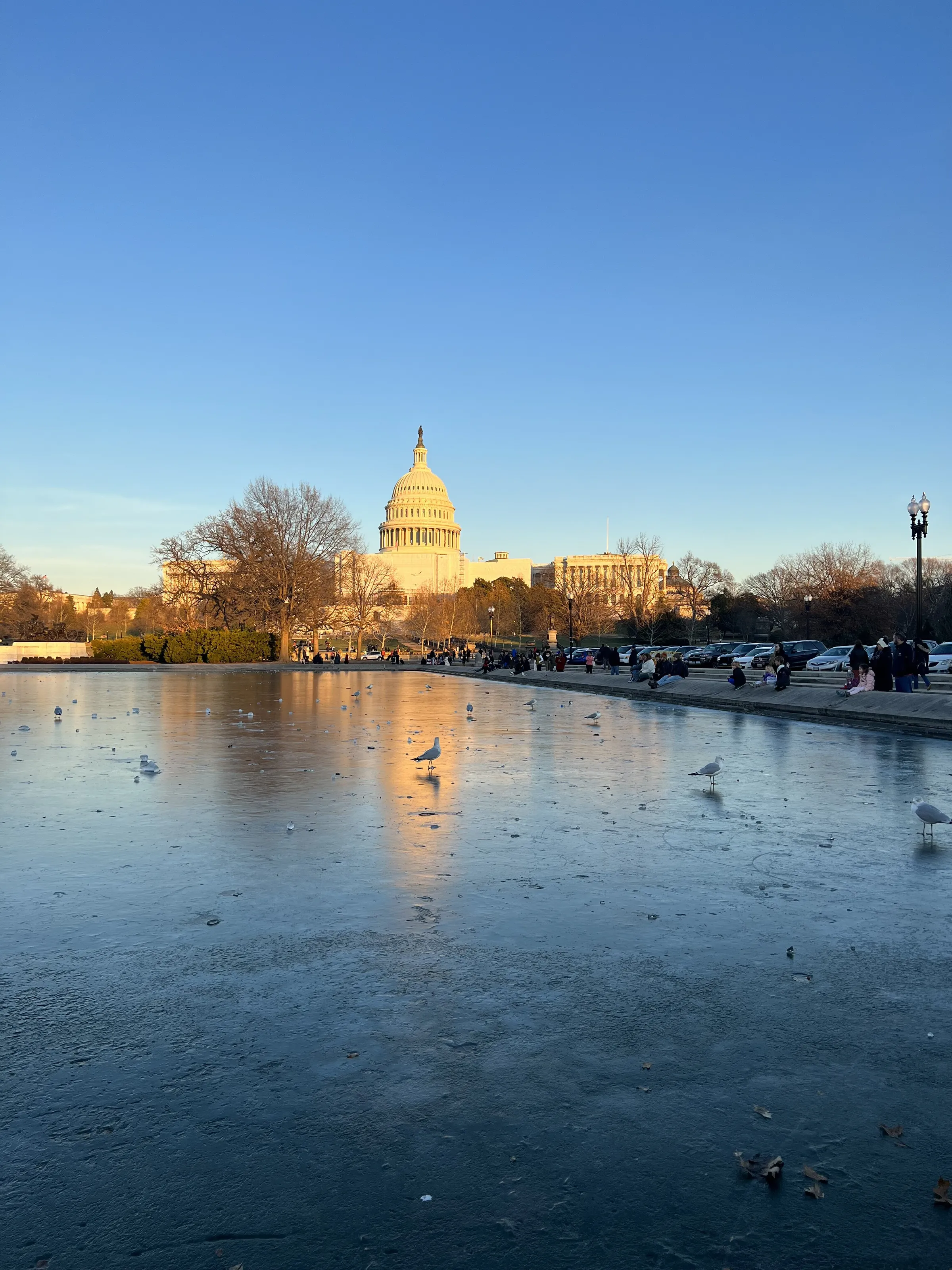 Chills in DC