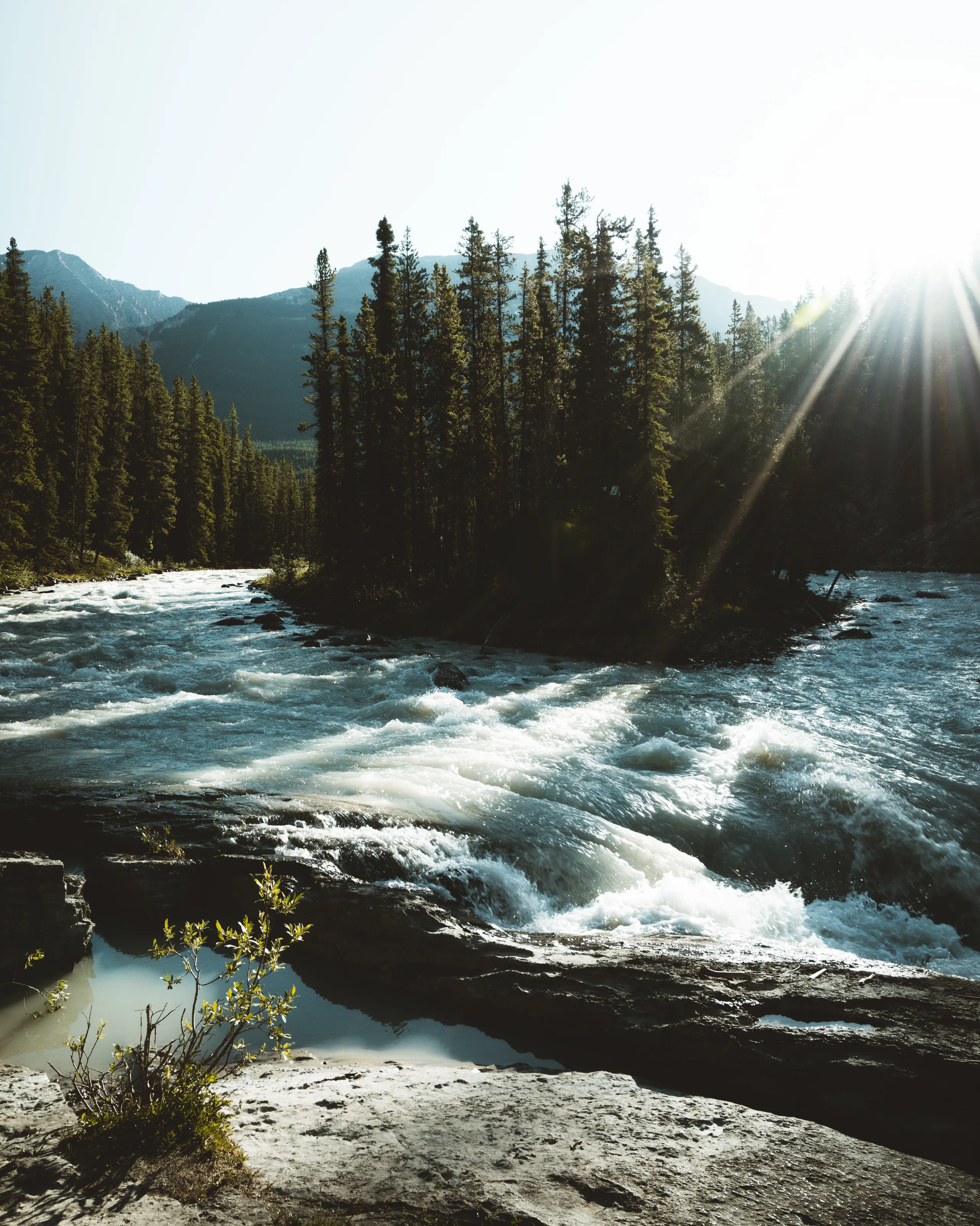 First Light