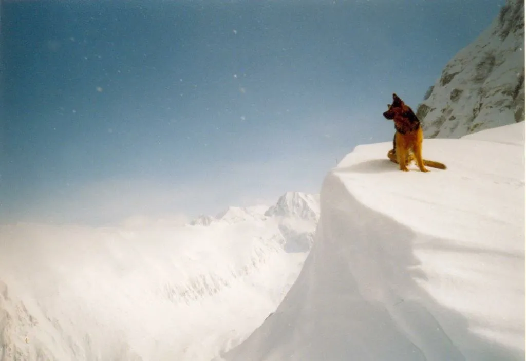 No fear, being on the edge