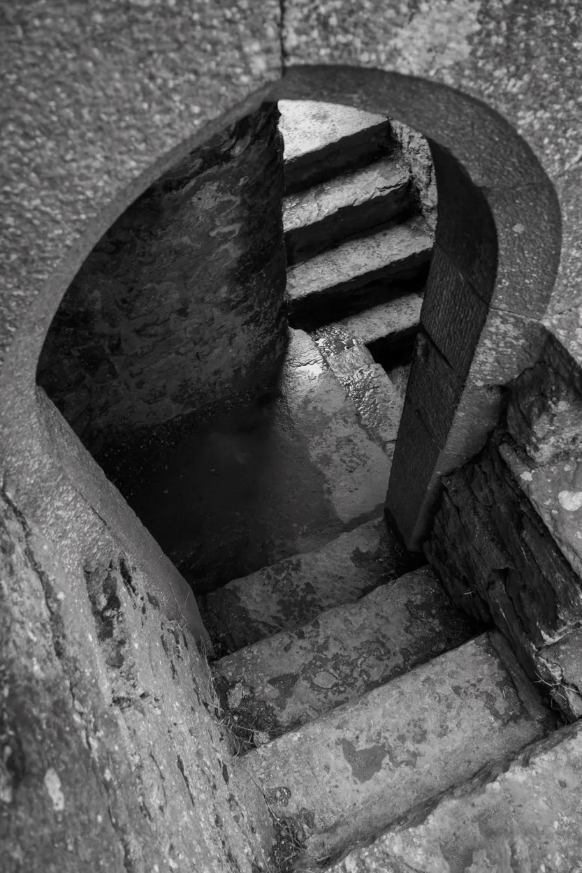 Entry 19106503