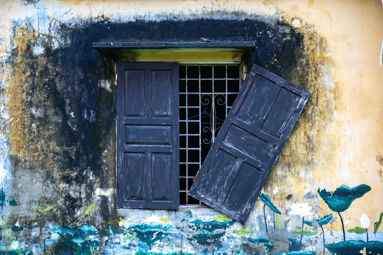 Entry 22902473