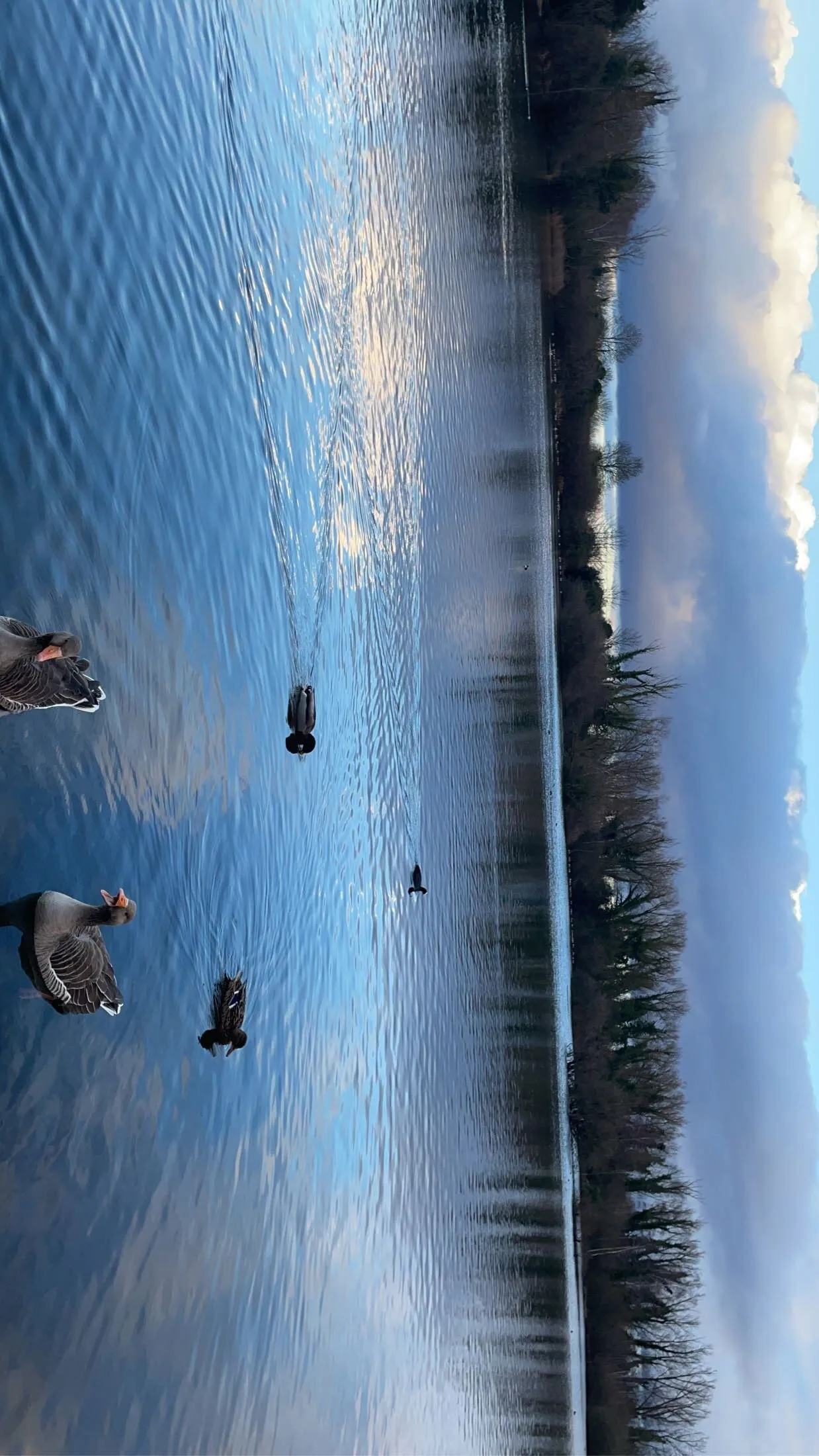 Country park