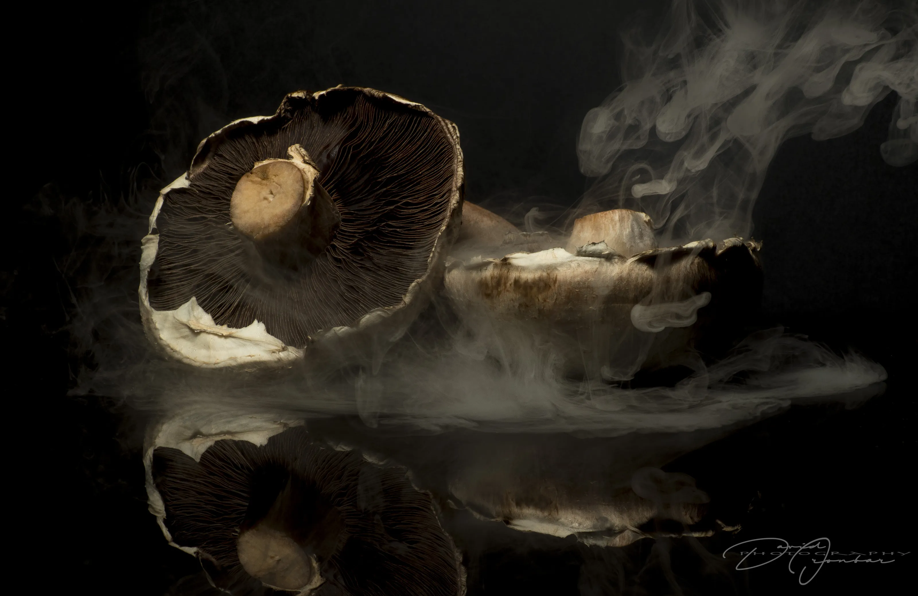 Steaming Mushrooms...