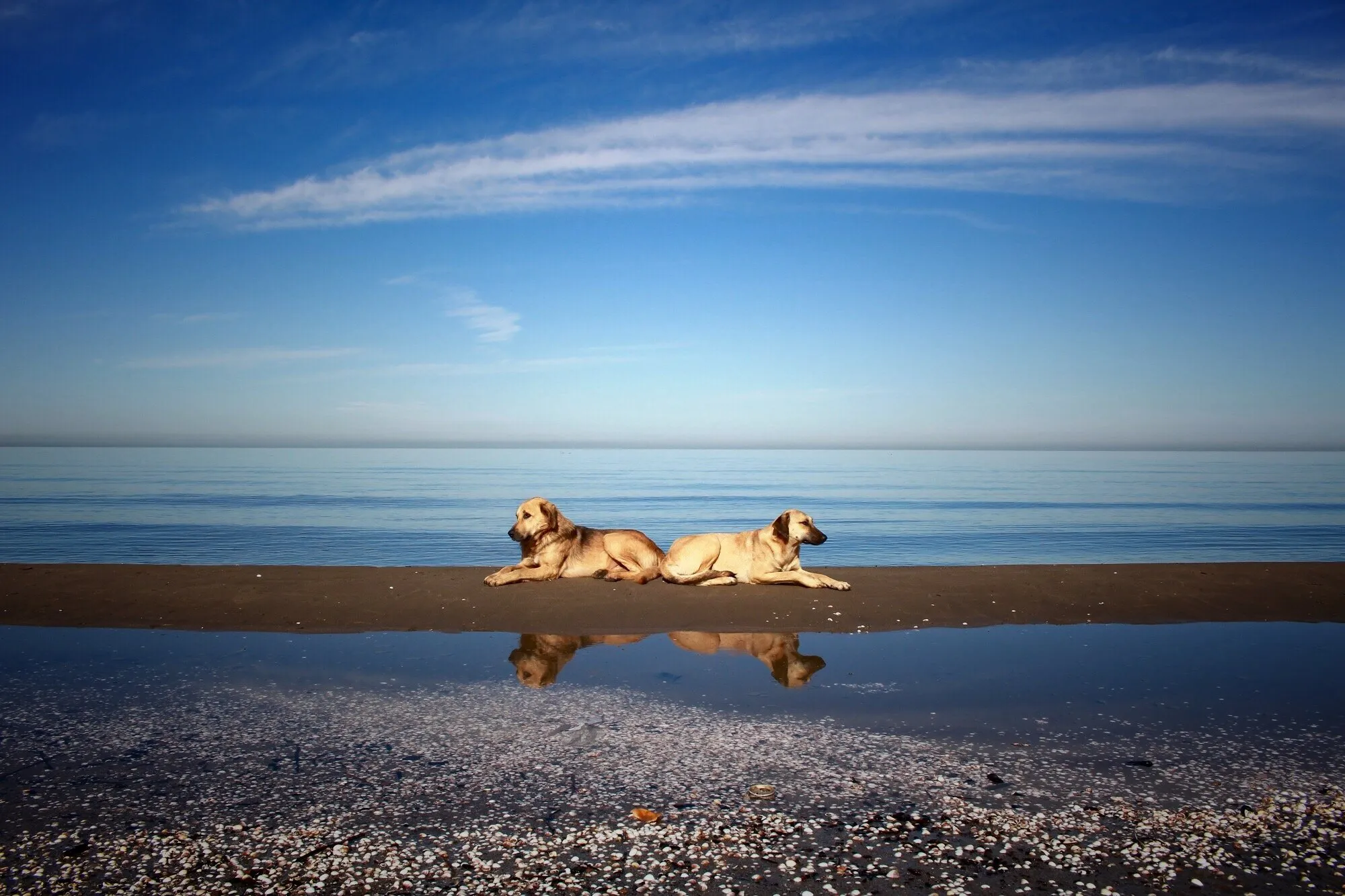 reflection