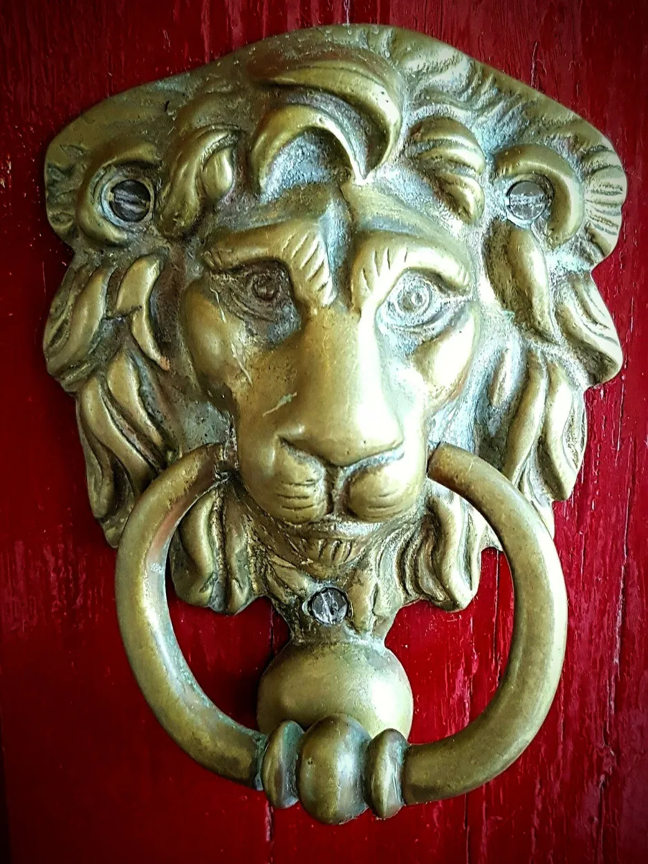 Entry 19045003