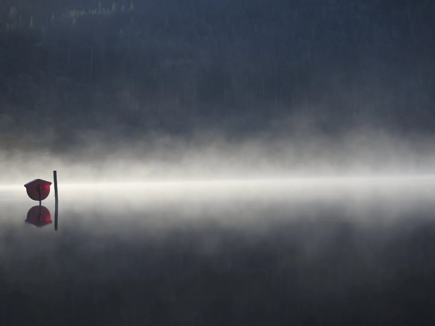 Mist rising
