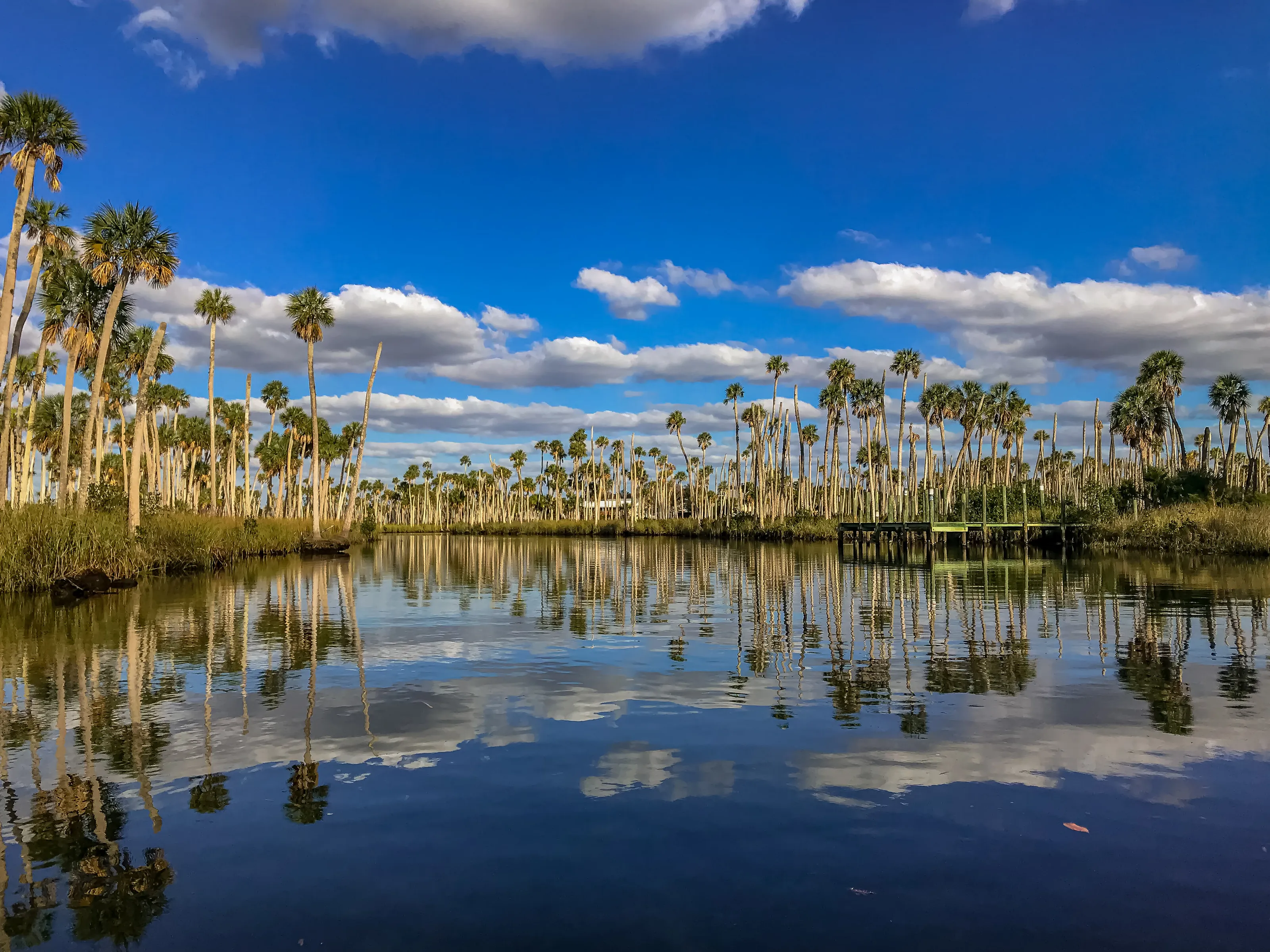 Reflections