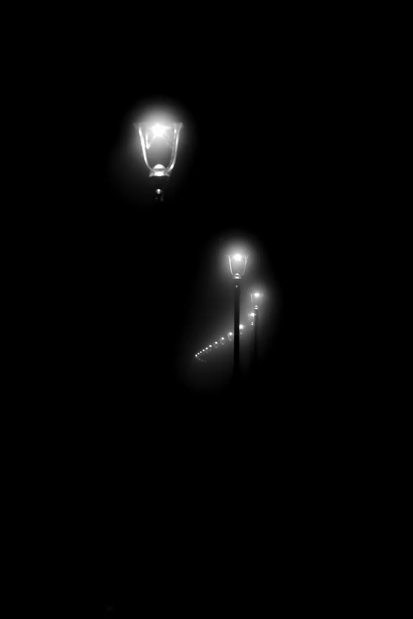 Entry 19053080