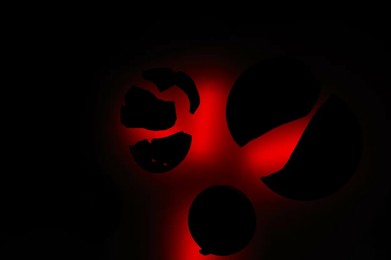 Entry 19055765