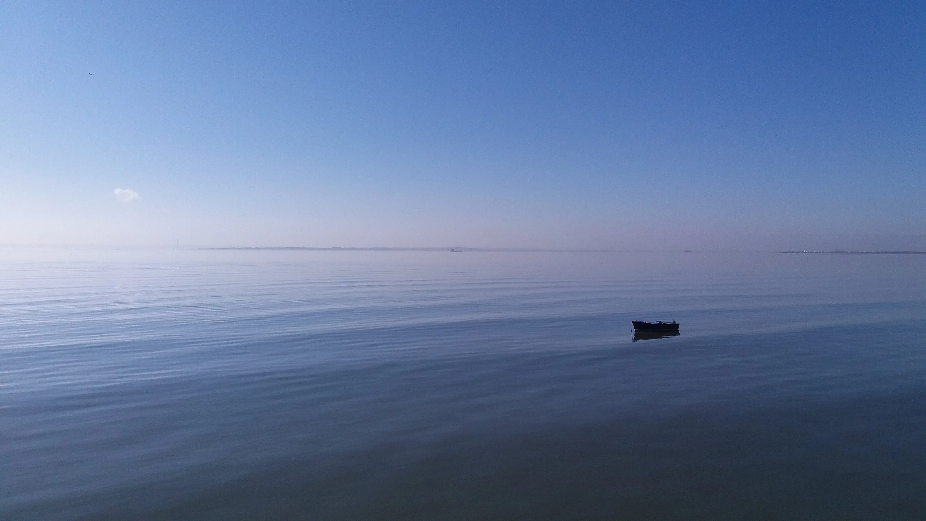 Distant Shores